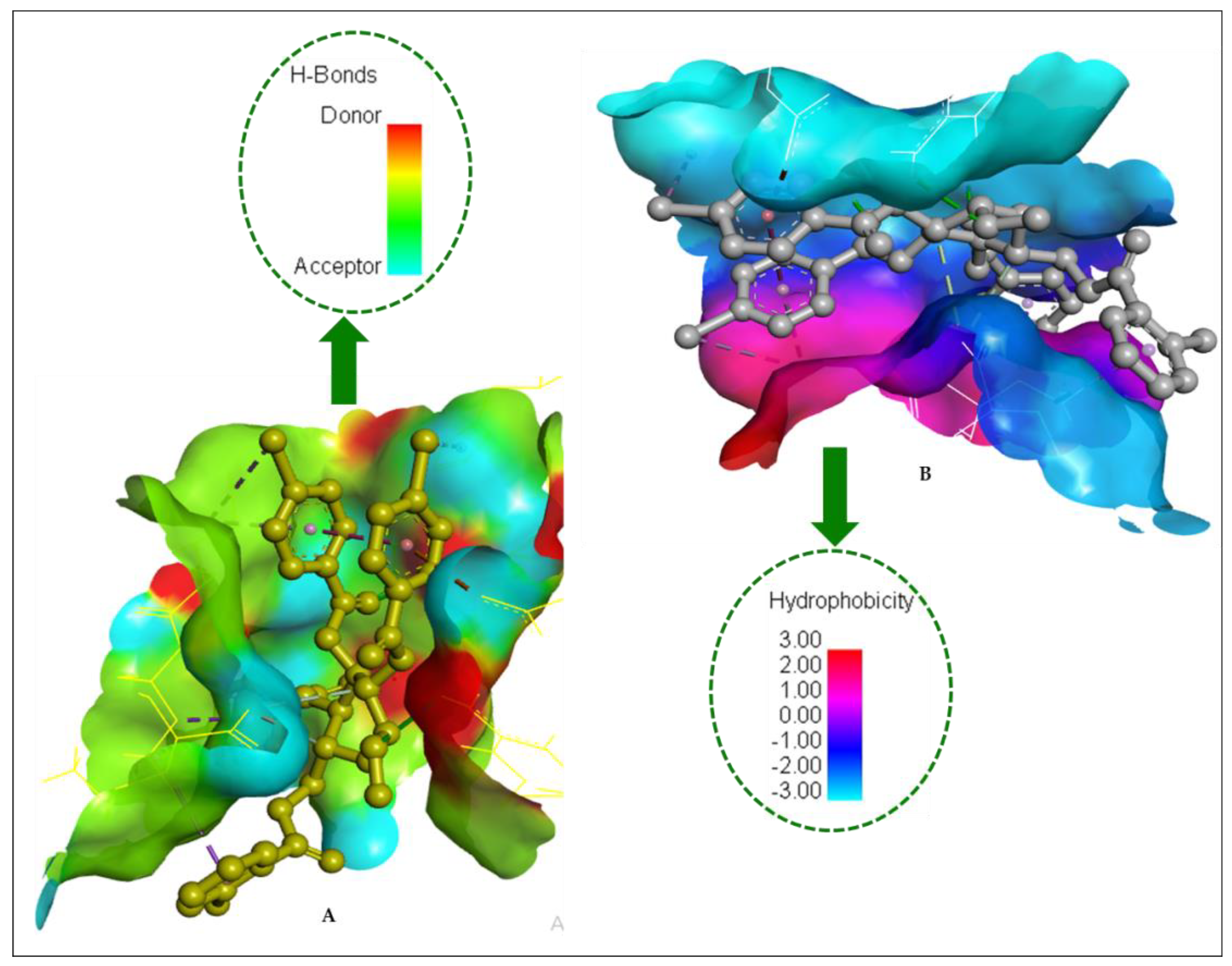 Pharmaceuticals 16 00998 g011 Pharmaceuticals 16 00998 g011