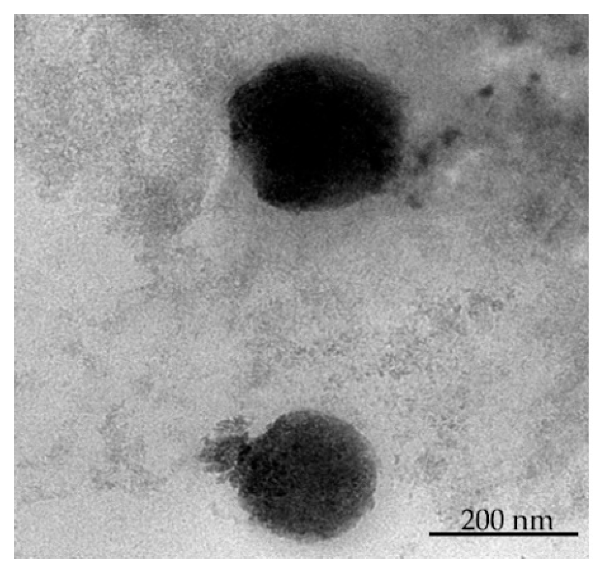 Pharmaceuticals 16 01001 g004