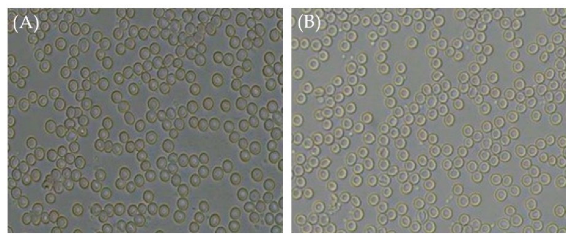 Pharmaceuticals 16 01001 g006