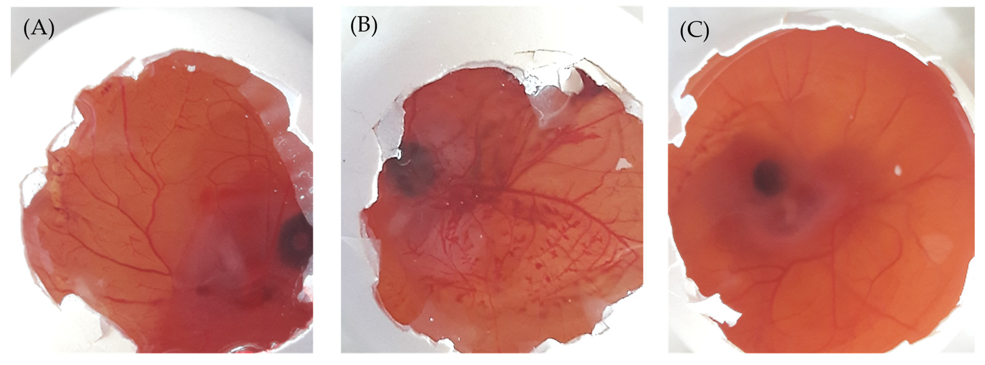 Pharmaceuticals 16 01001 g007