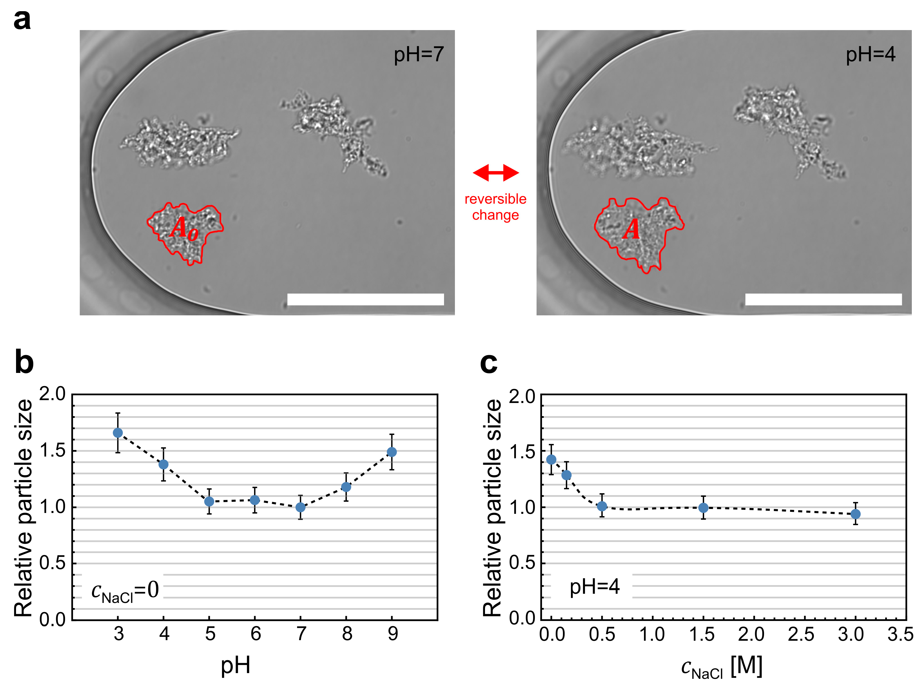 Pharmaceuticals 16 01002 g002 Pharmaceuticals 16 01002 g002