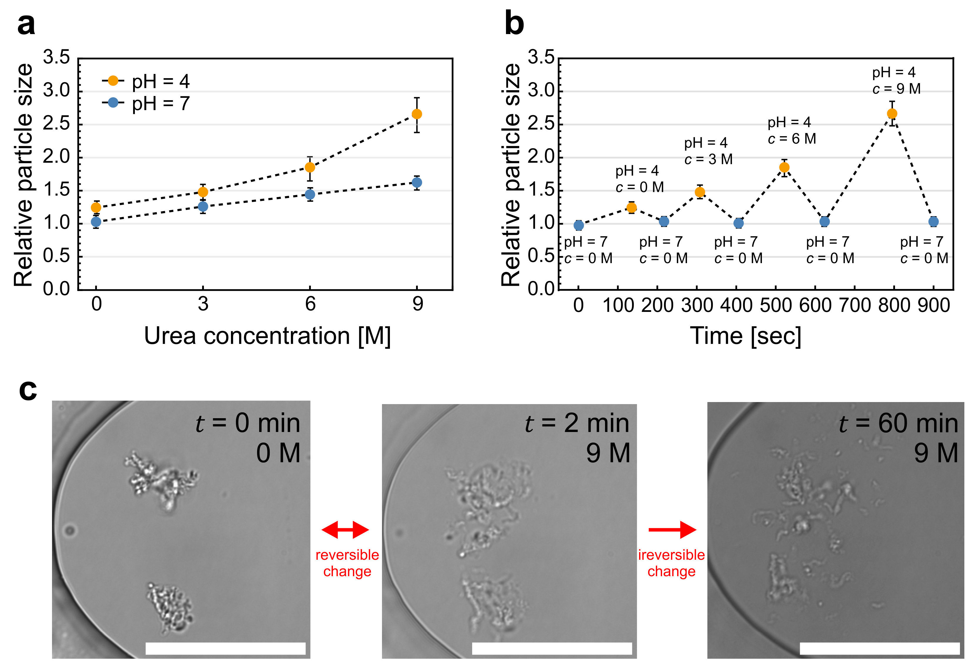 Pharmaceuticals 16 01002 g004 Pharmaceuticals 16 01002 g004