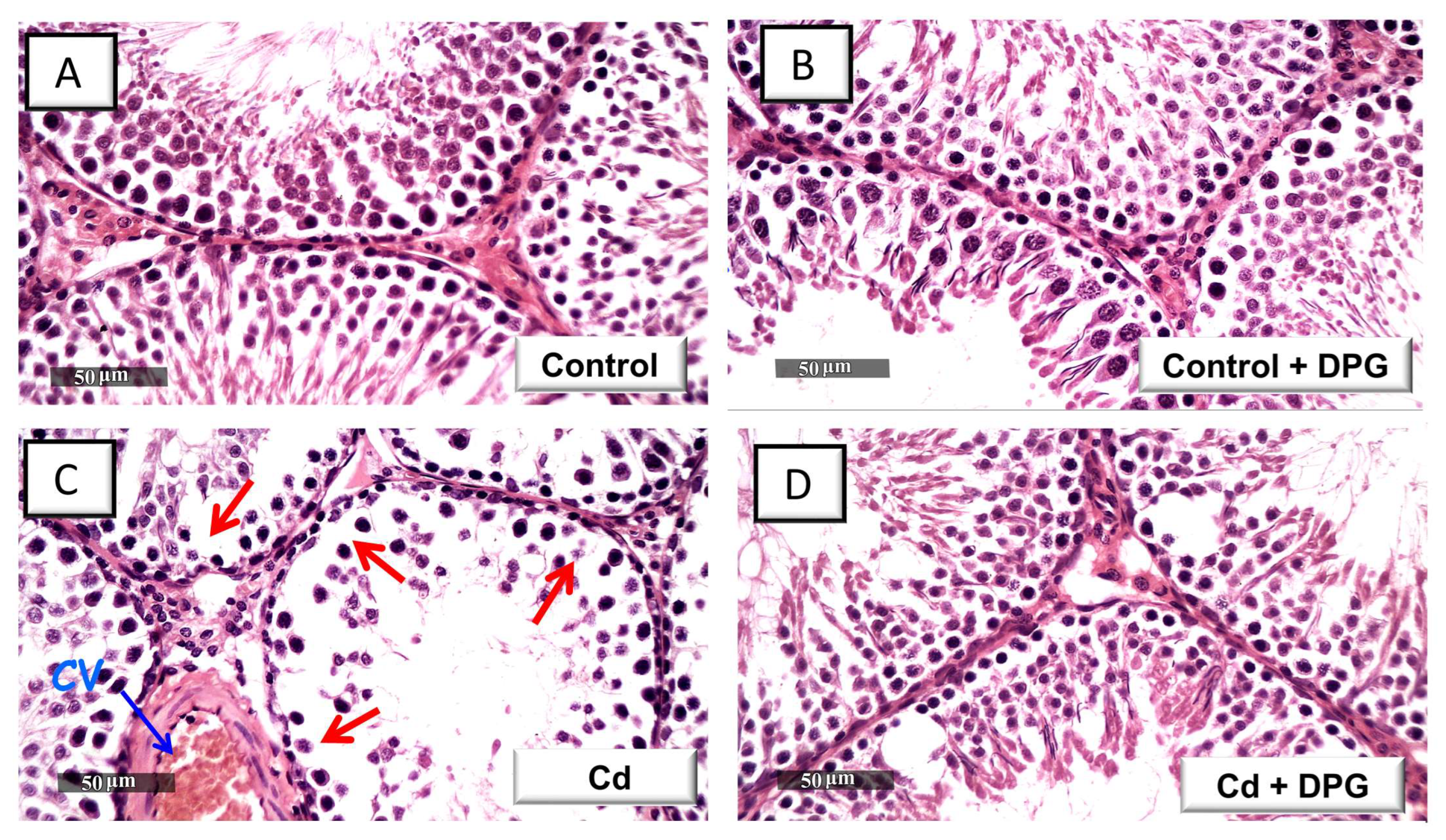 Pharmaceuticals 16 01006 g003a