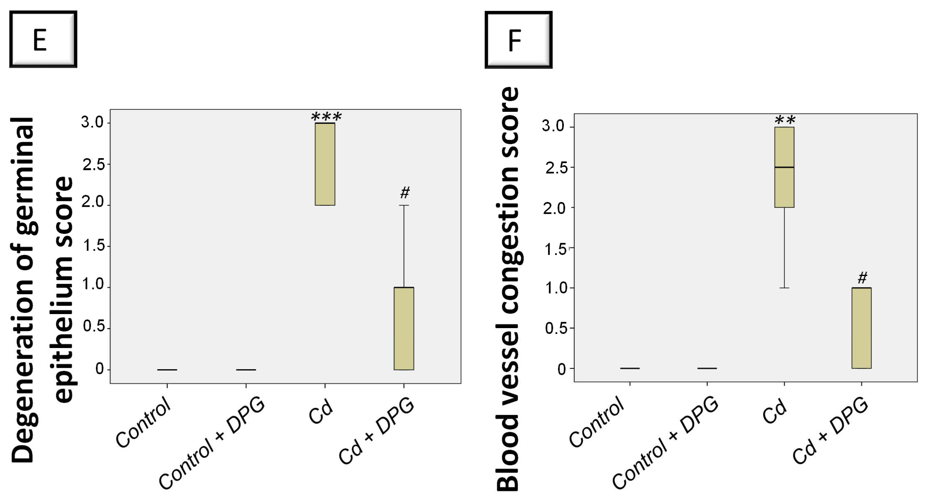 Pharmaceuticals 16 01006 g003b