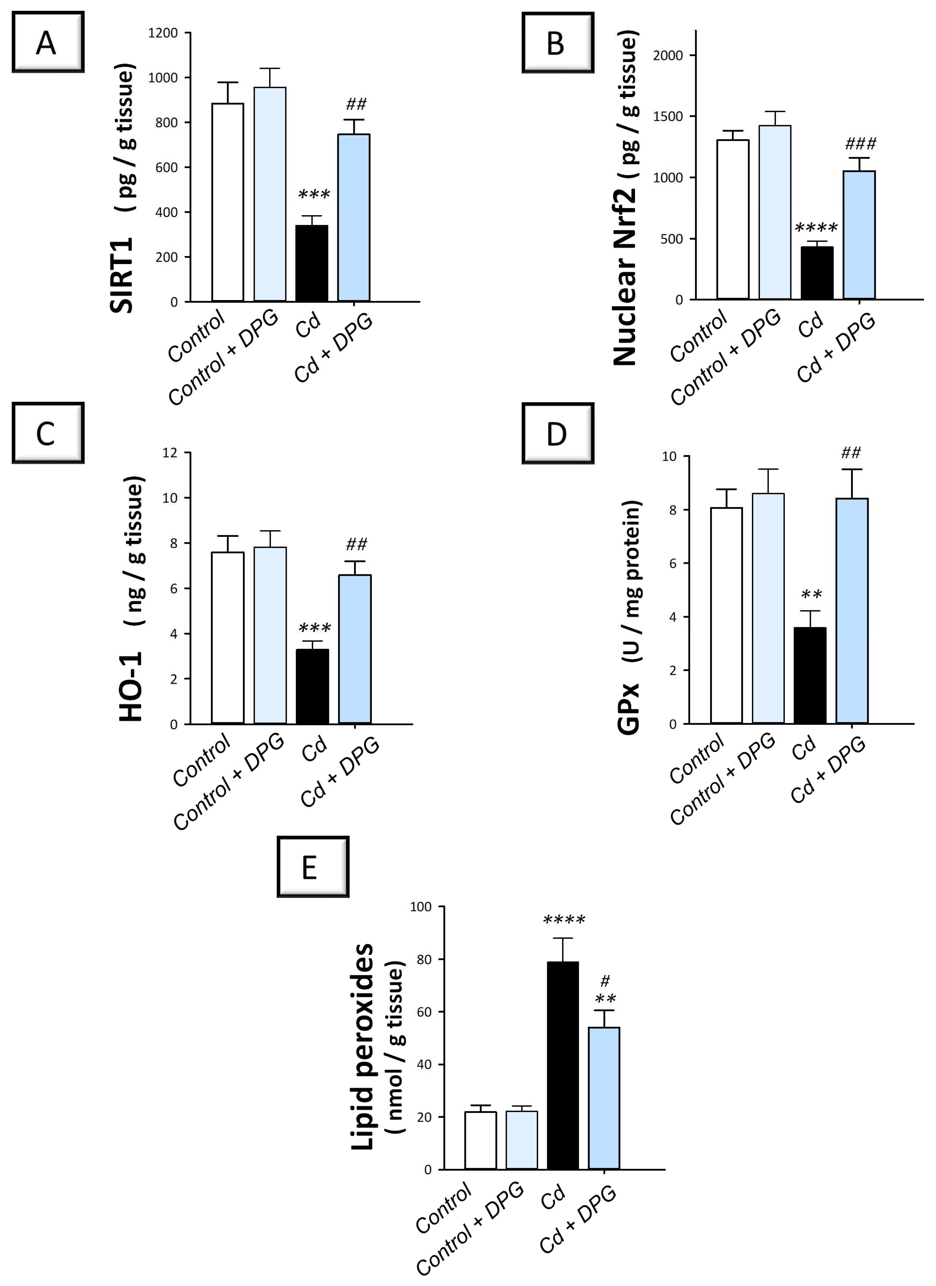 Pharmaceuticals 16 01006 g004