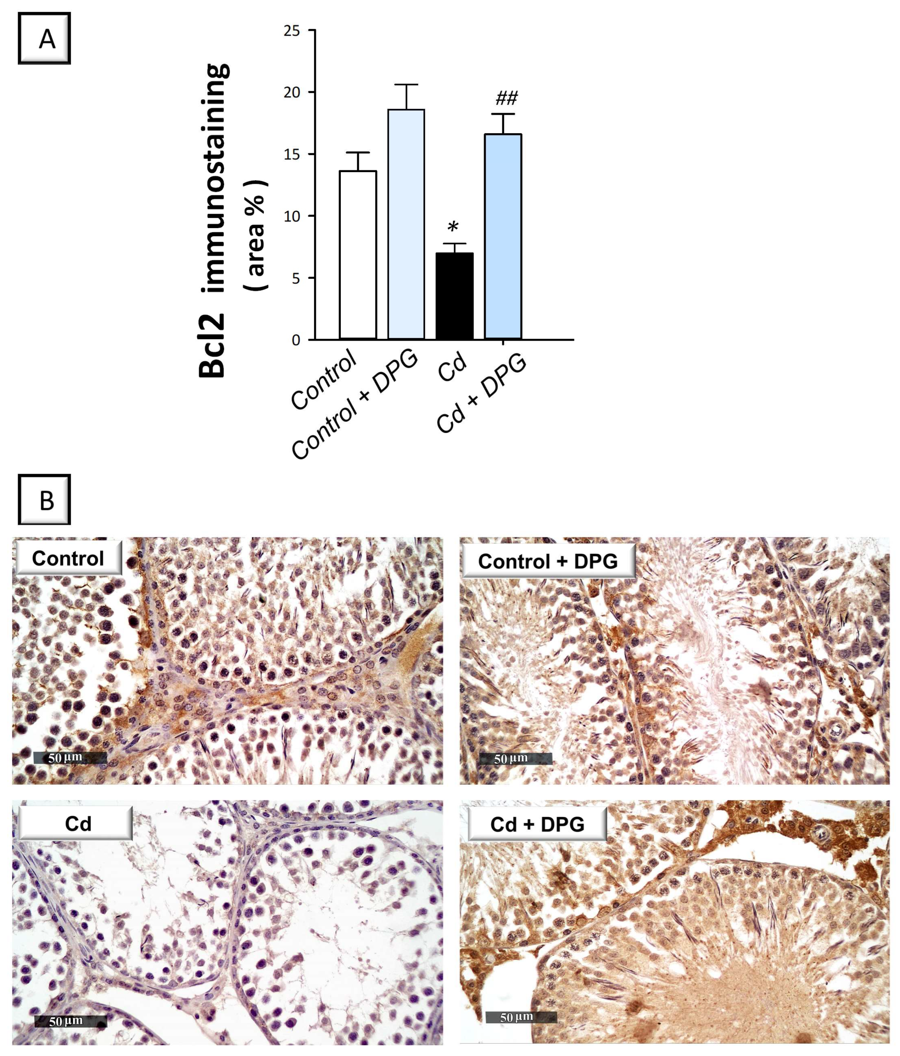 Pharmaceuticals 16 01006 g006