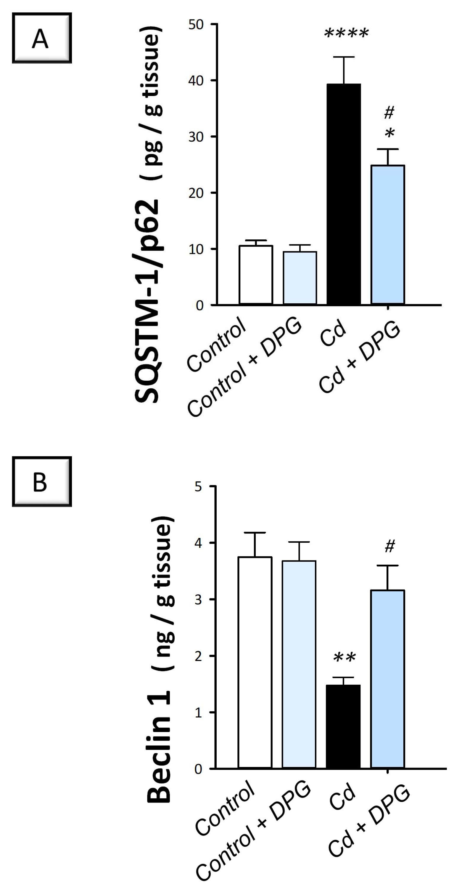 Pharmaceuticals 16 01006 g007