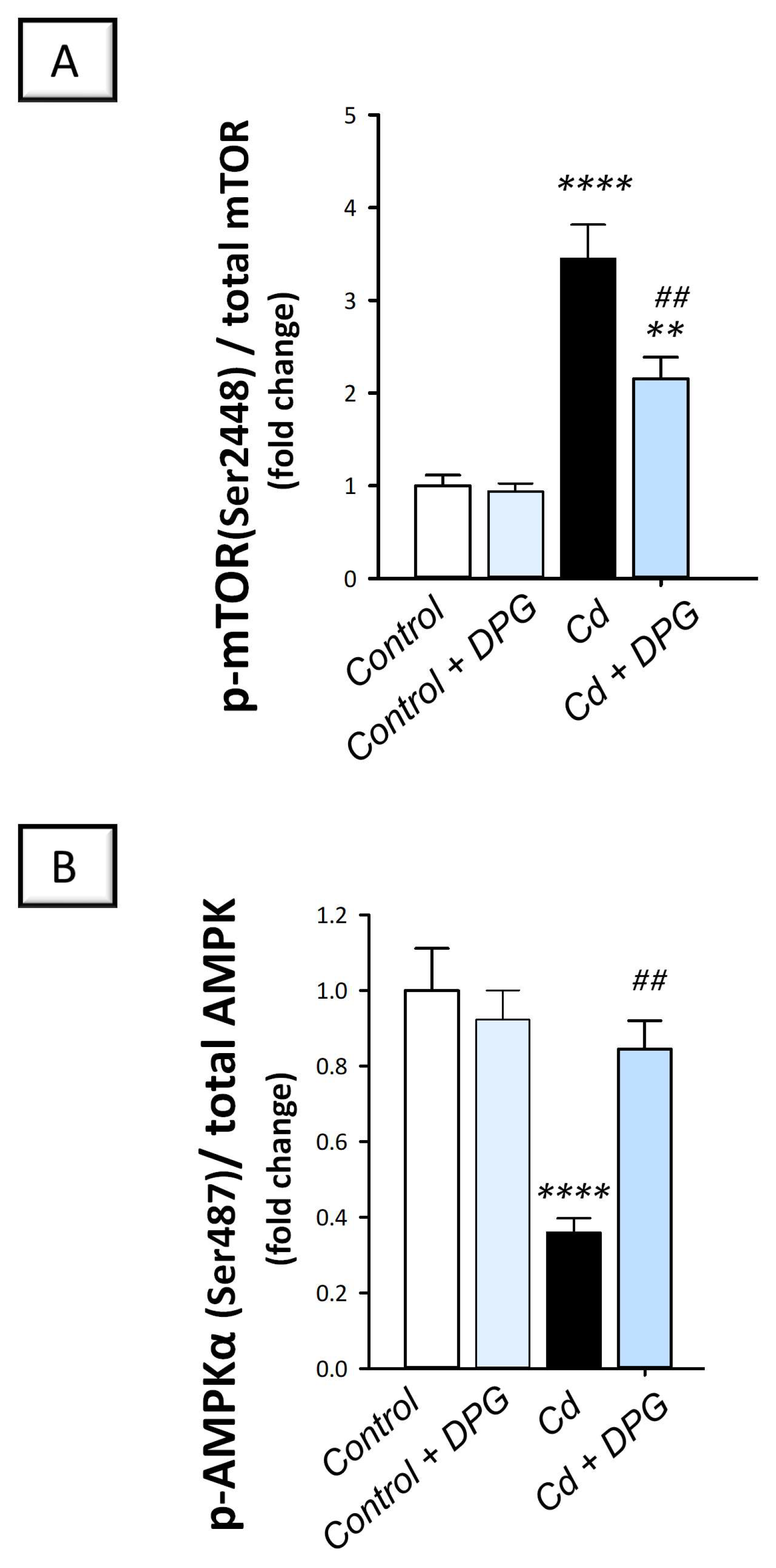 Pharmaceuticals 16 01006 g008