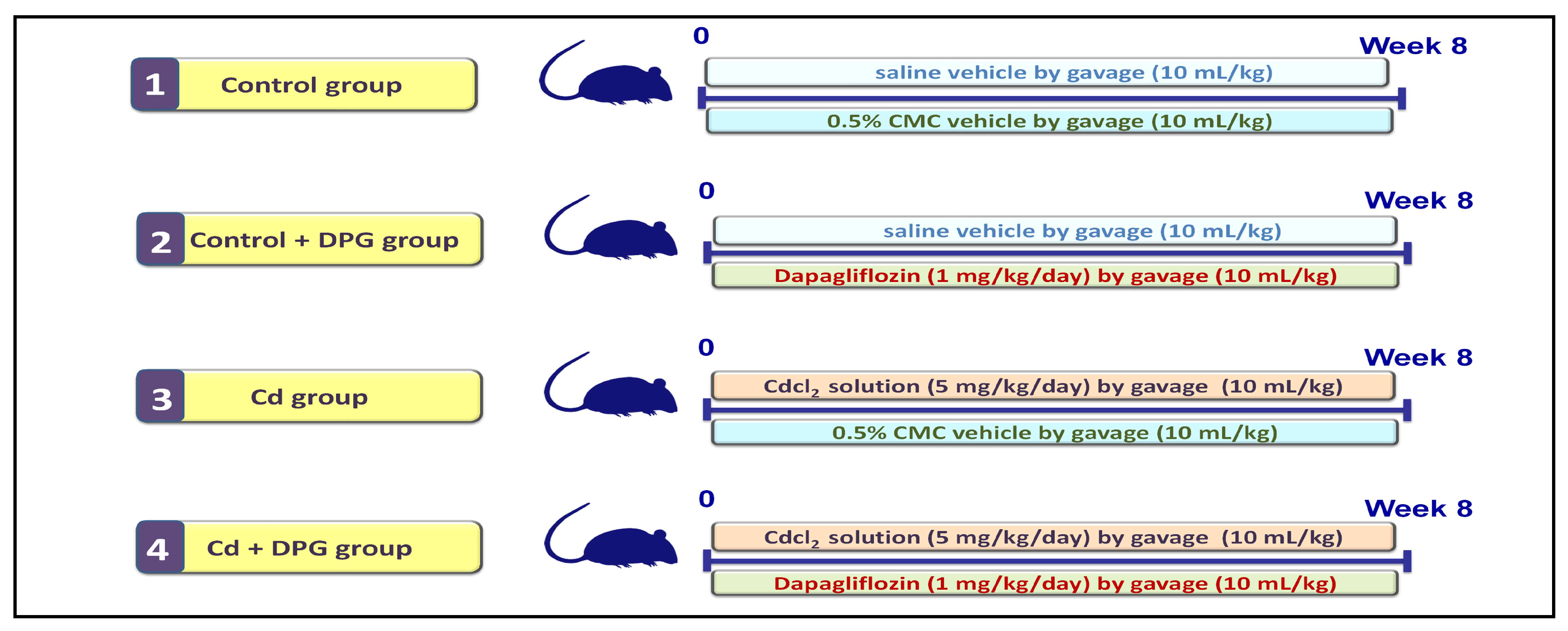 Pharmaceuticals 16 01006 g010