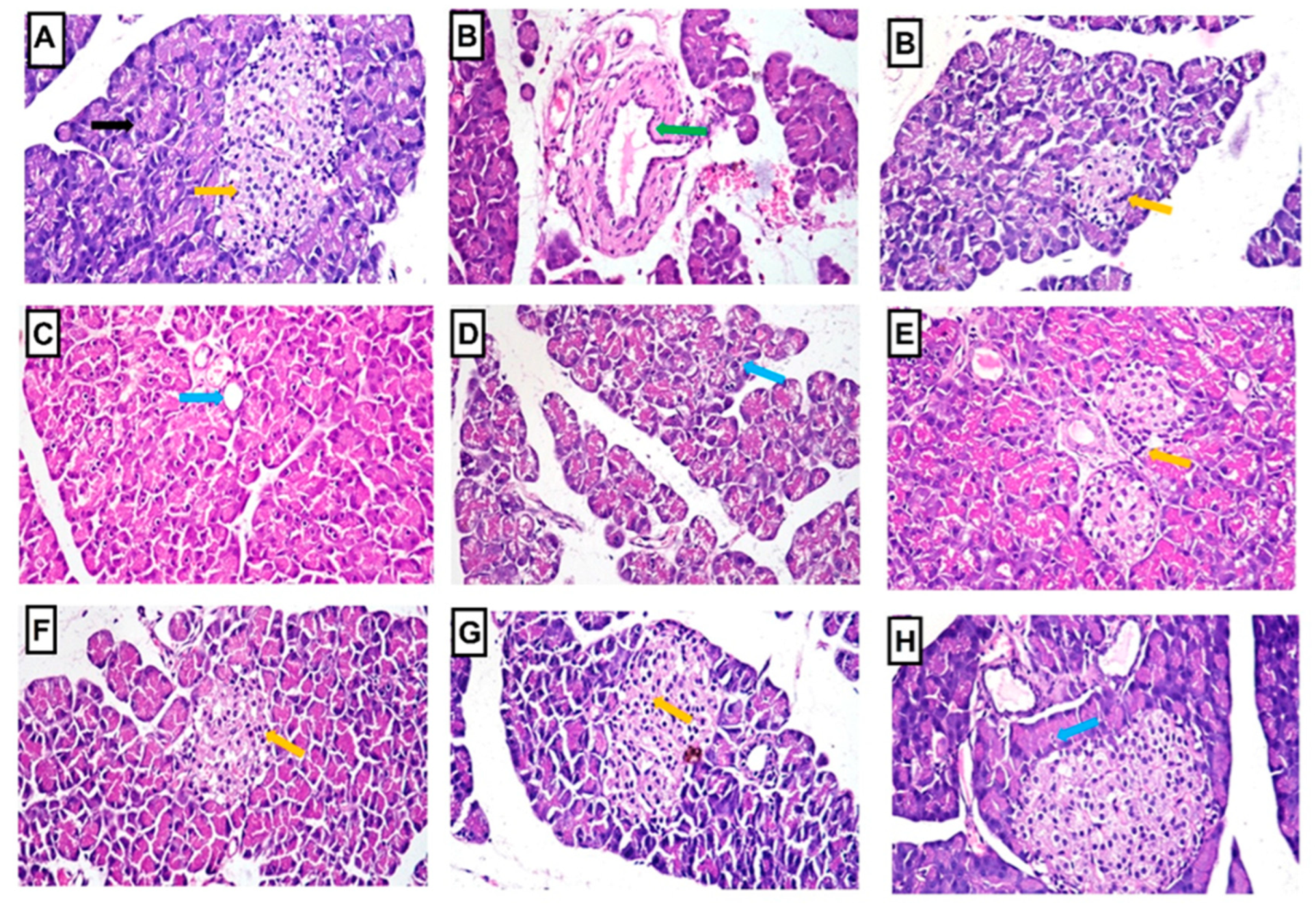 Pharmaceuticals 16 01008 g010