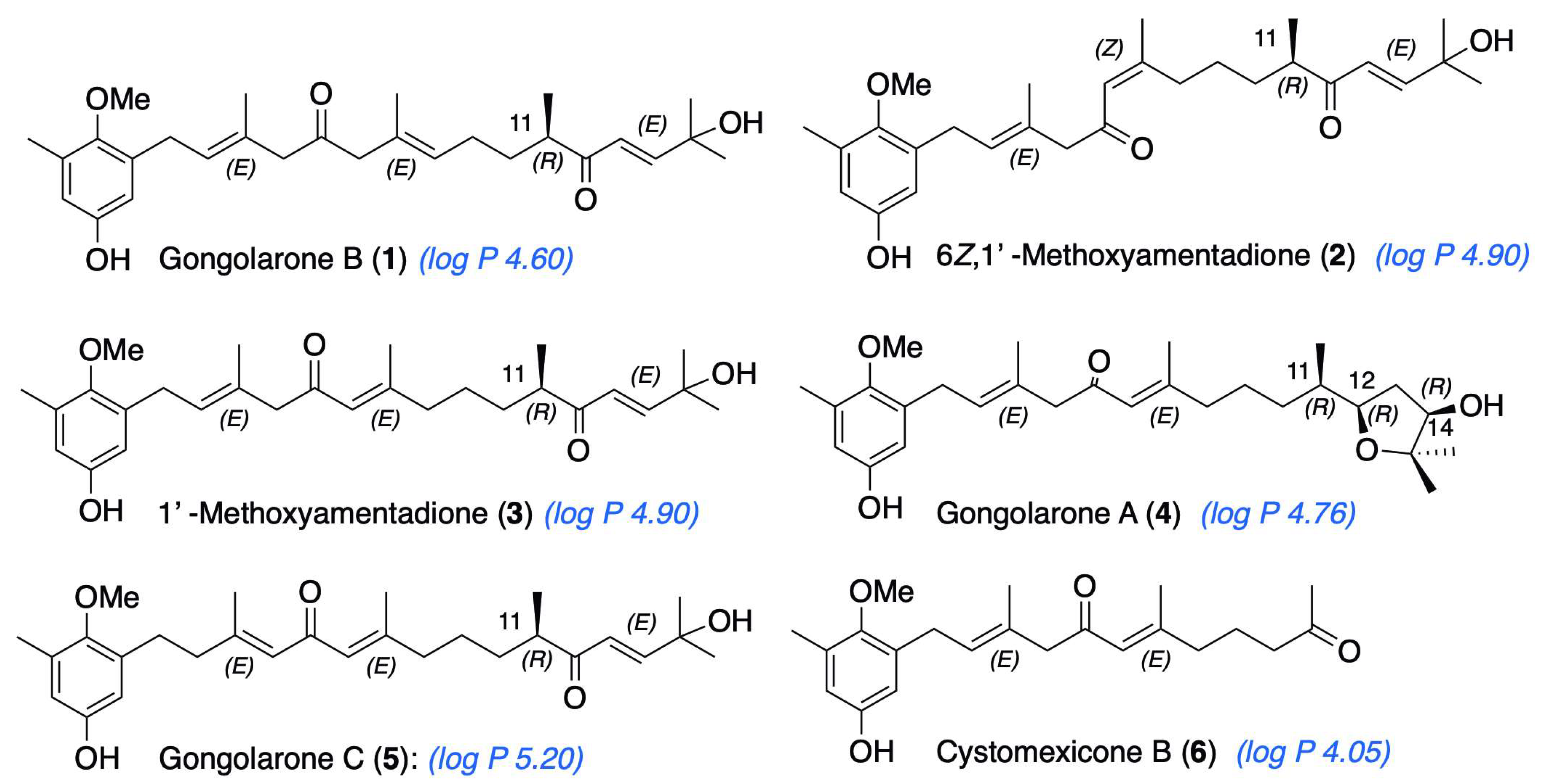 Pharmaceuticals 16 01010 g001
