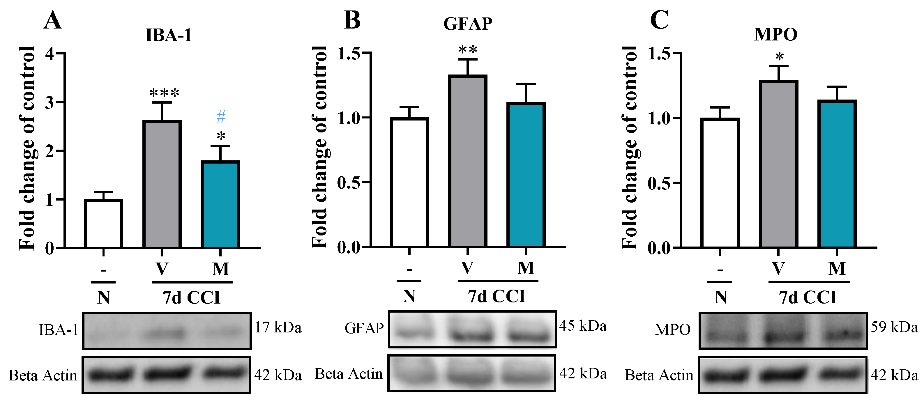 Pharmaceuticals 16 01023 g003