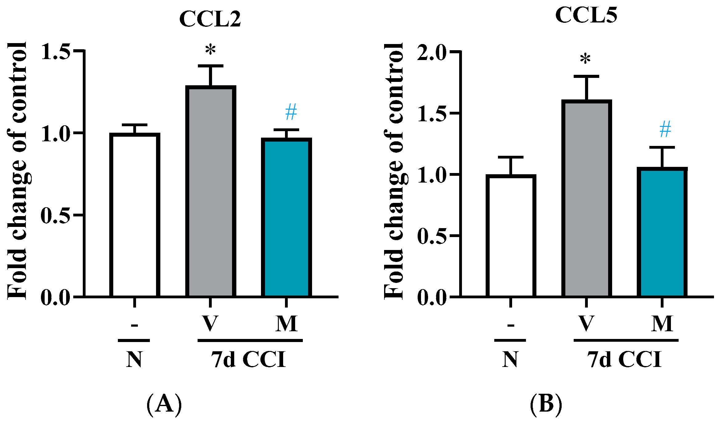 Pharmaceuticals 16 01023 g005