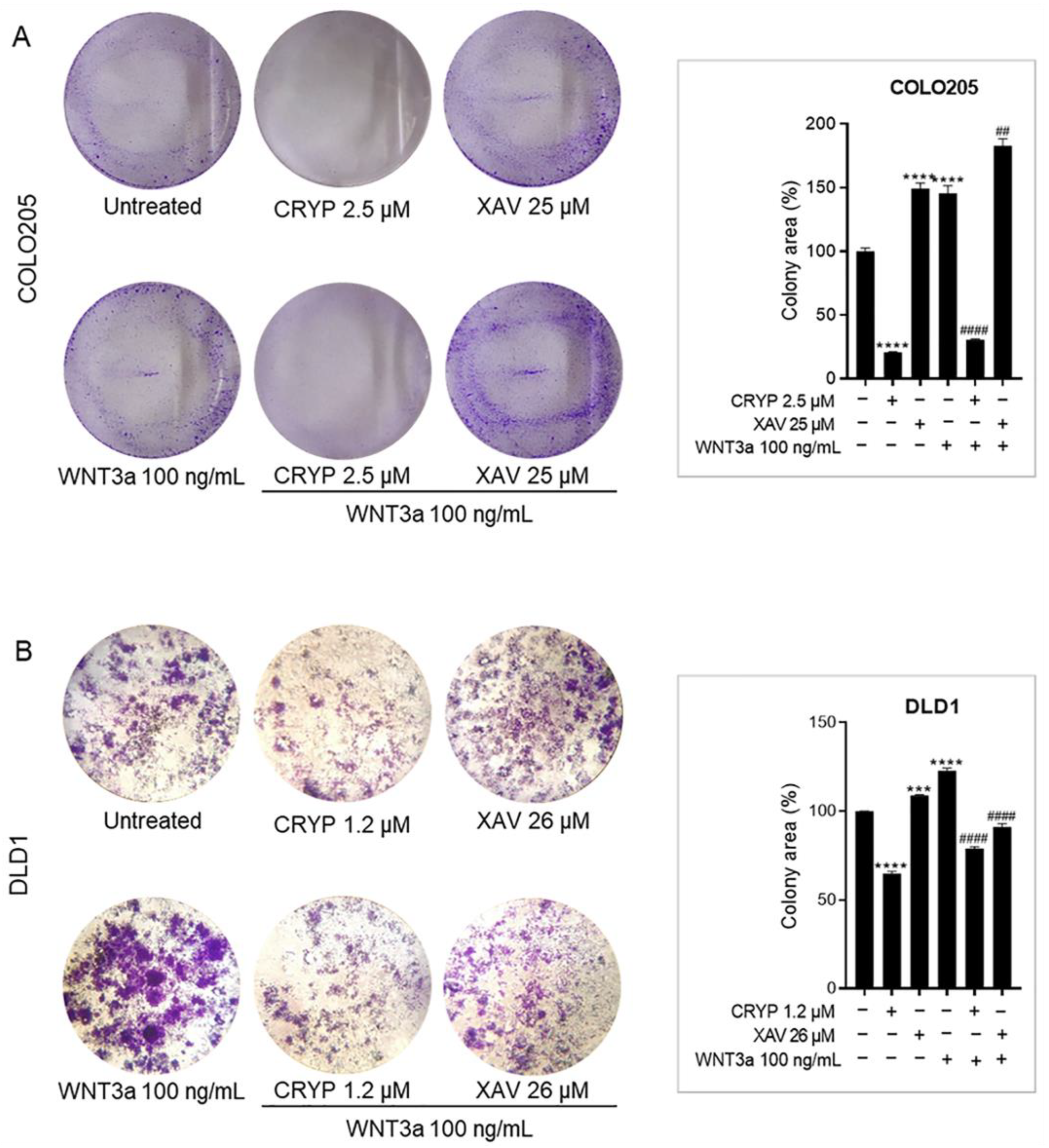 Pharmaceuticals 16 01026 g004