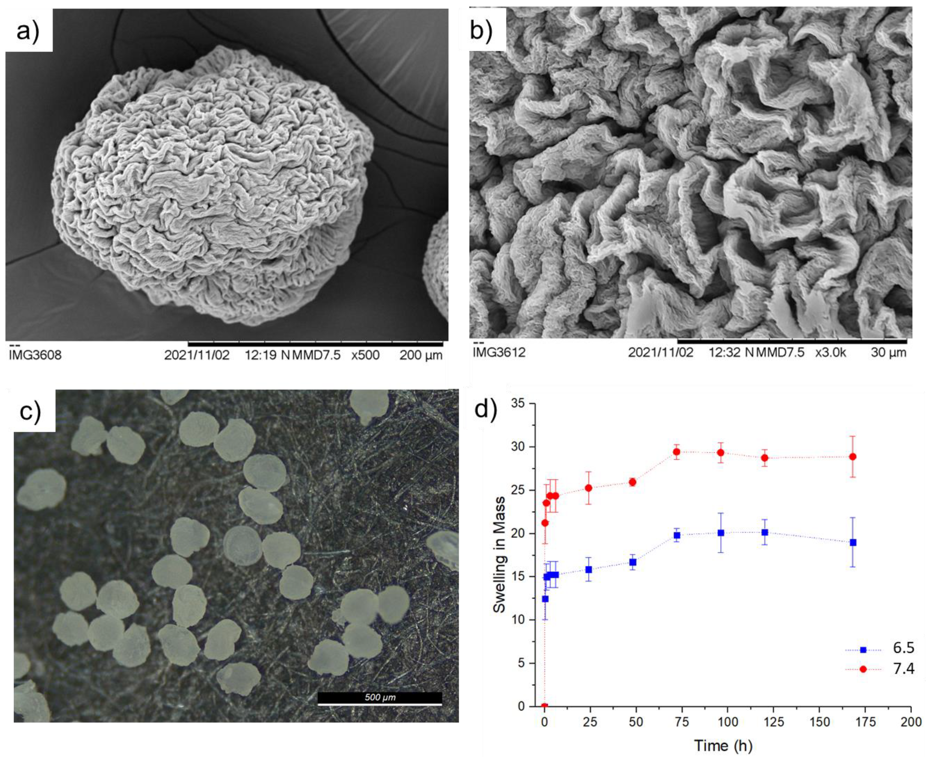 Pharmaceuticals 16 01029 g005