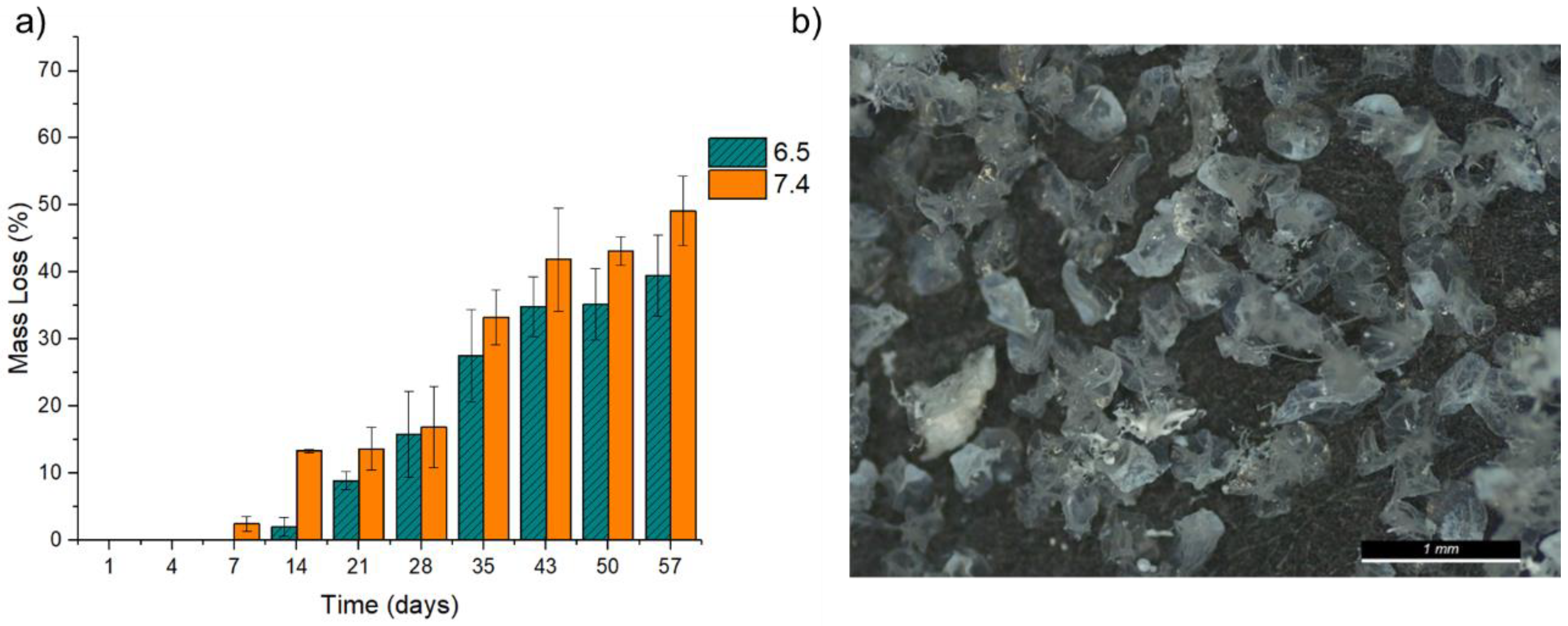 Pharmaceuticals 16 01029 g008