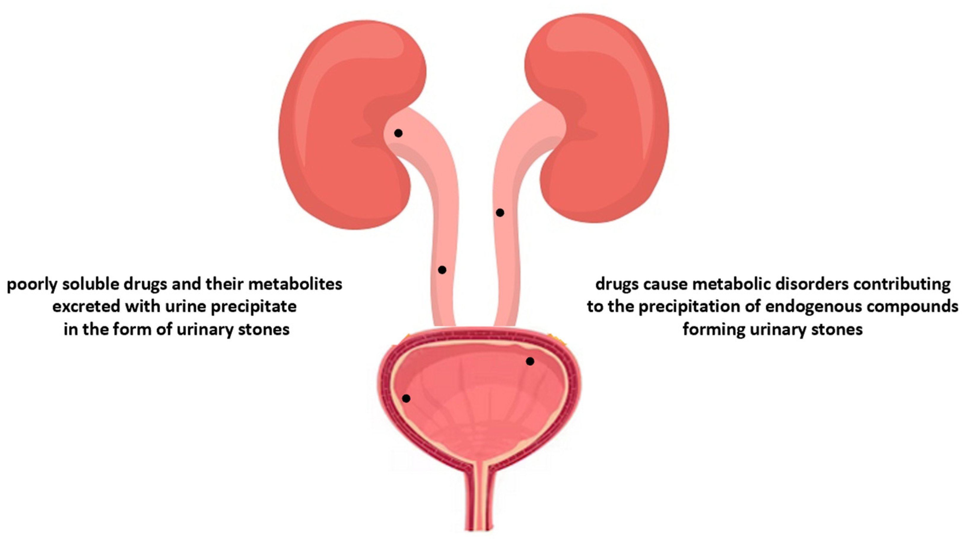 Pharmaceuticals 16 01031 g005