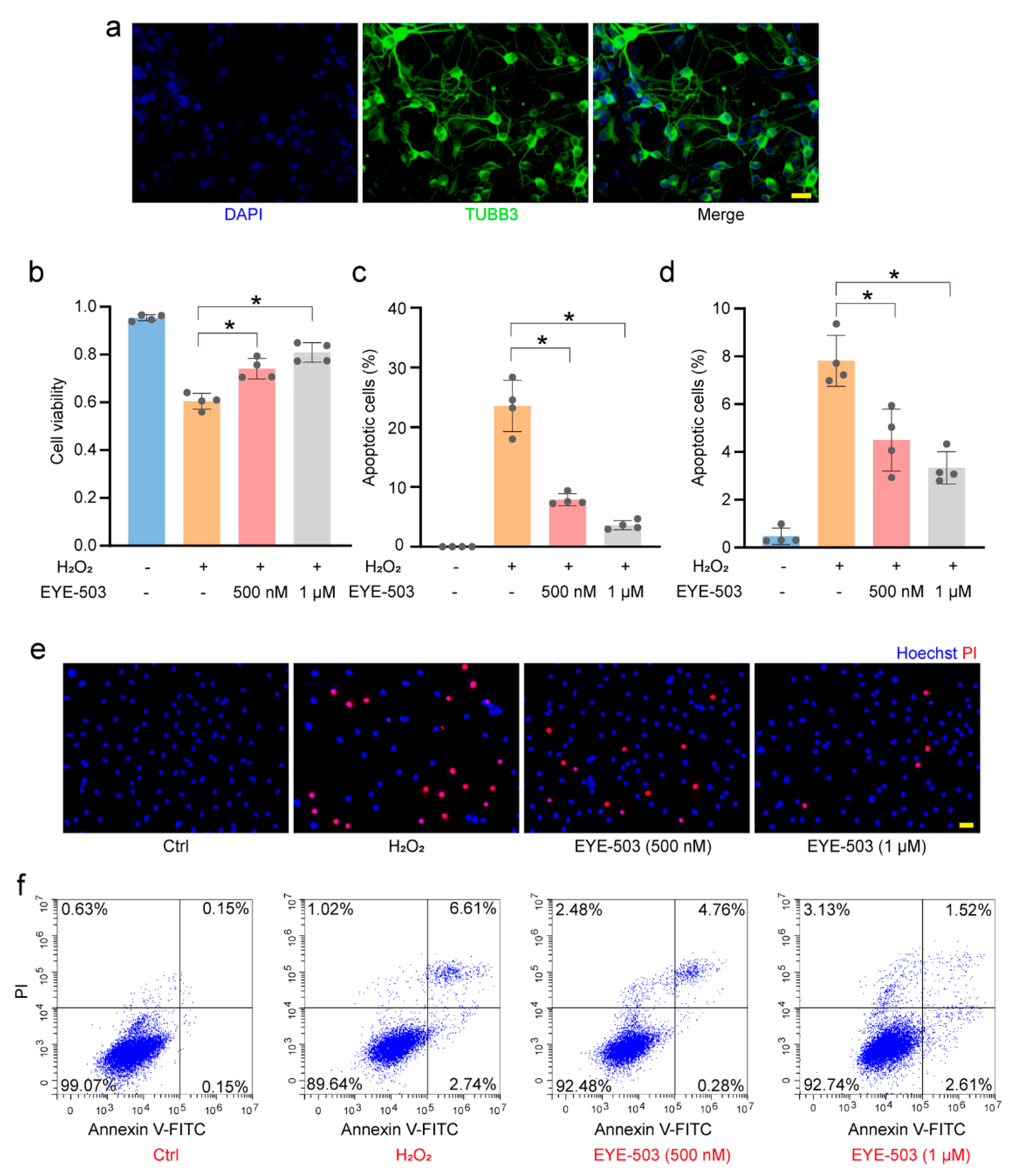 Pharmaceuticals 16 01033 g004