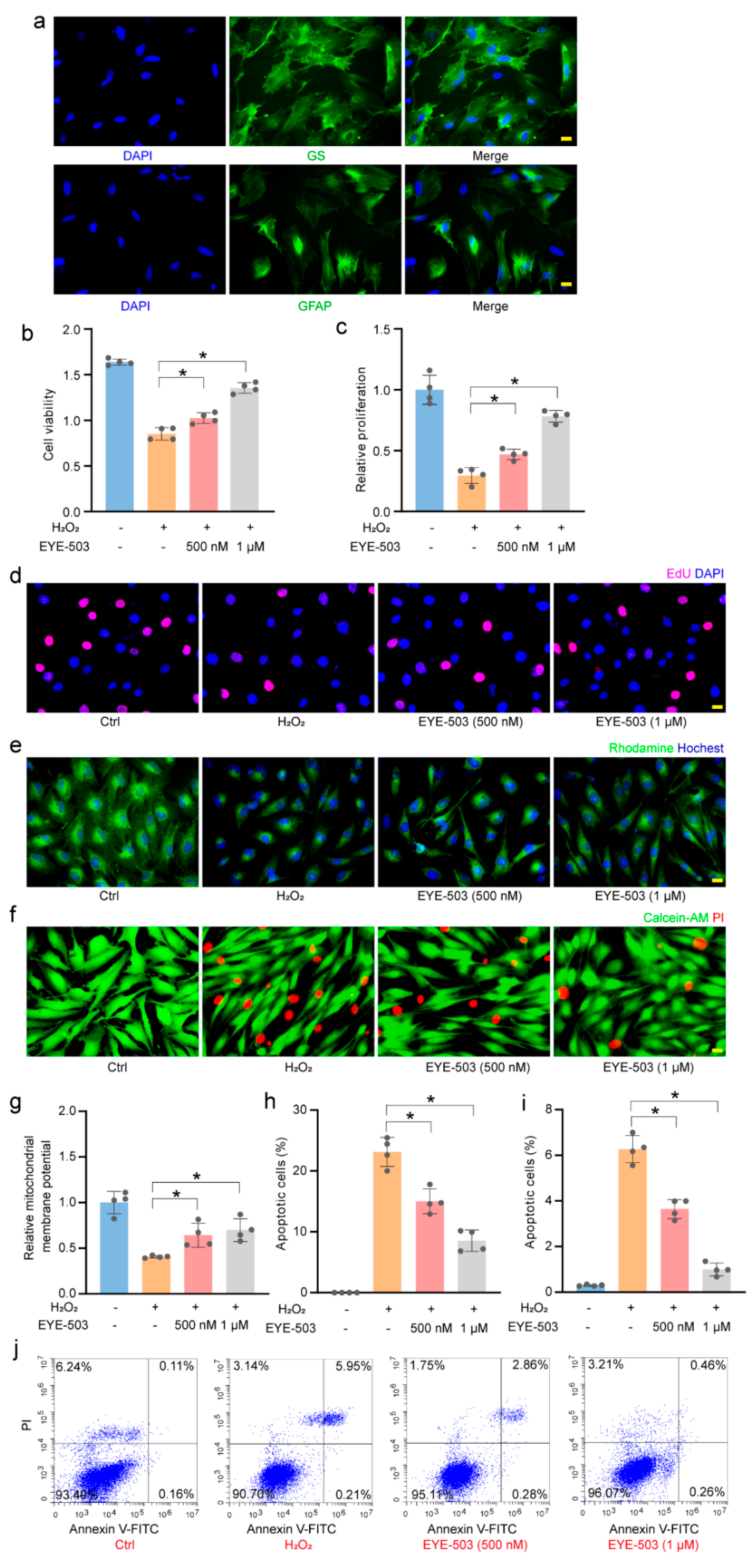 Pharmaceuticals 16 01033 g005