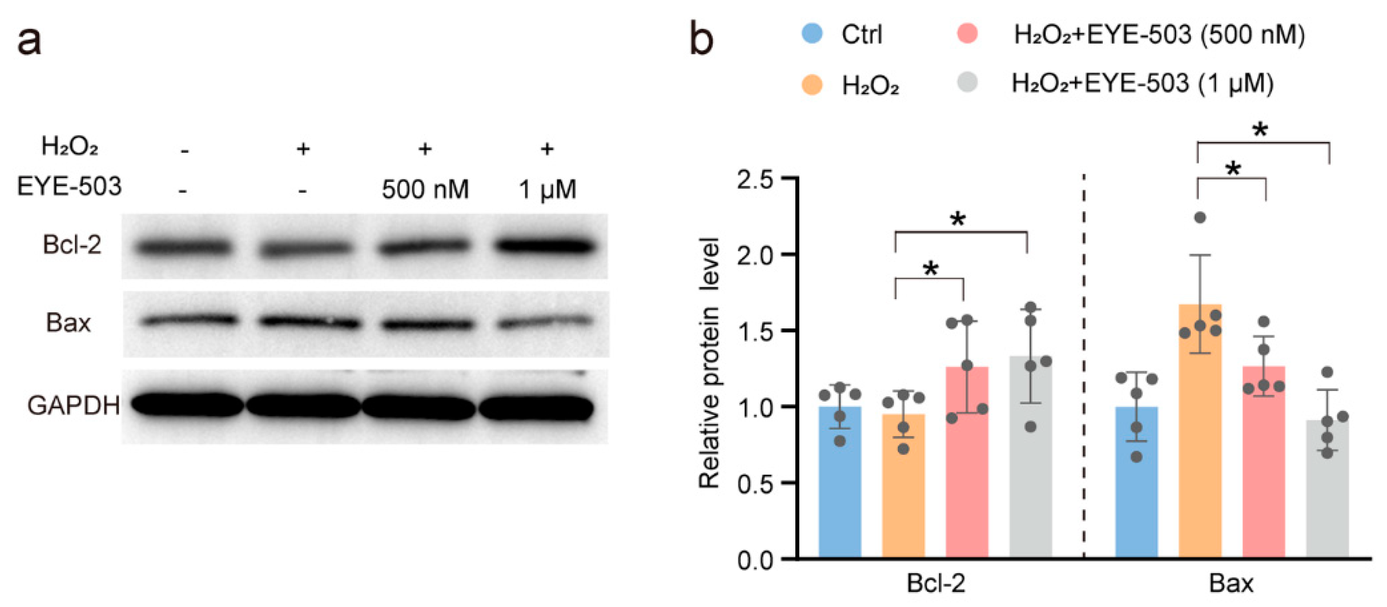 Pharmaceuticals 16 01033 g006