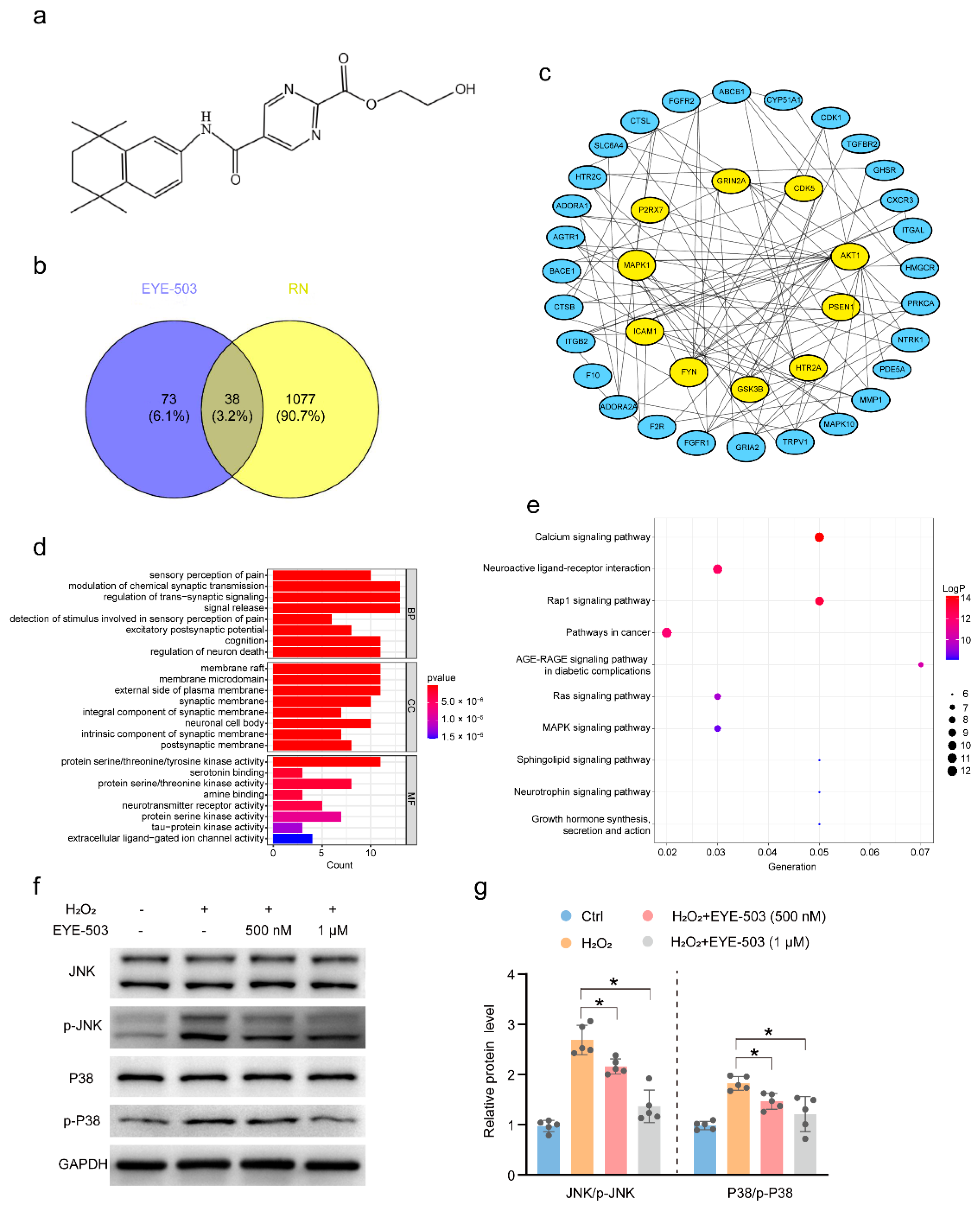 Pharmaceuticals 16 01033 g007