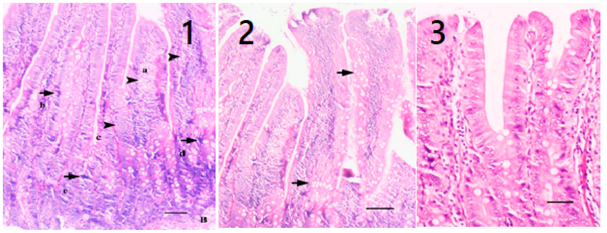 Pharmaceuticals 16 01041 g009 Pharmaceuticals 16 01041 g009