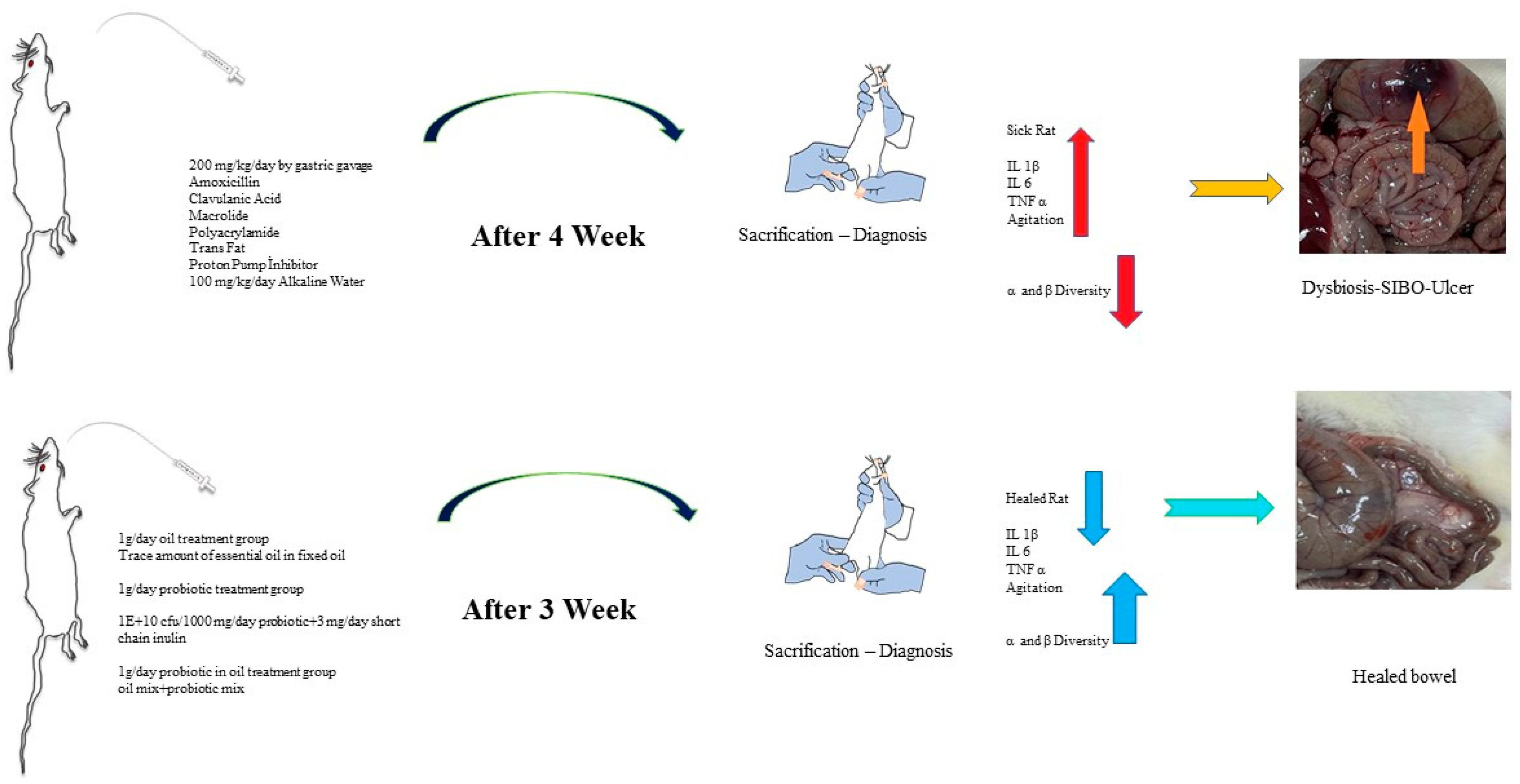 Pharmaceuticals 16 01041 g010 Pharmaceuticals 16 01041 g010