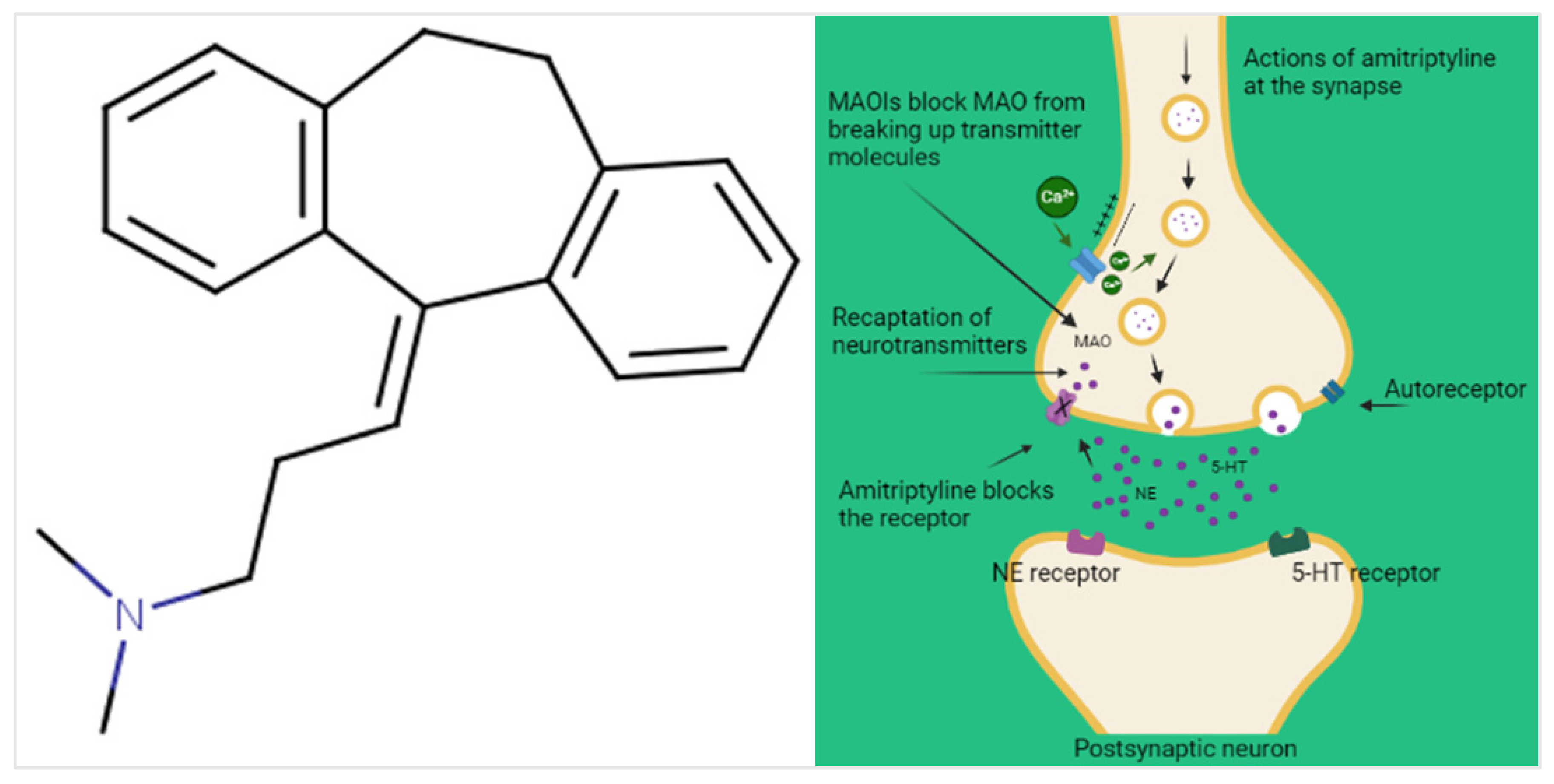 Pharmaceuticals 16 01047 g001 Pharmaceuticals 16 01047 g001