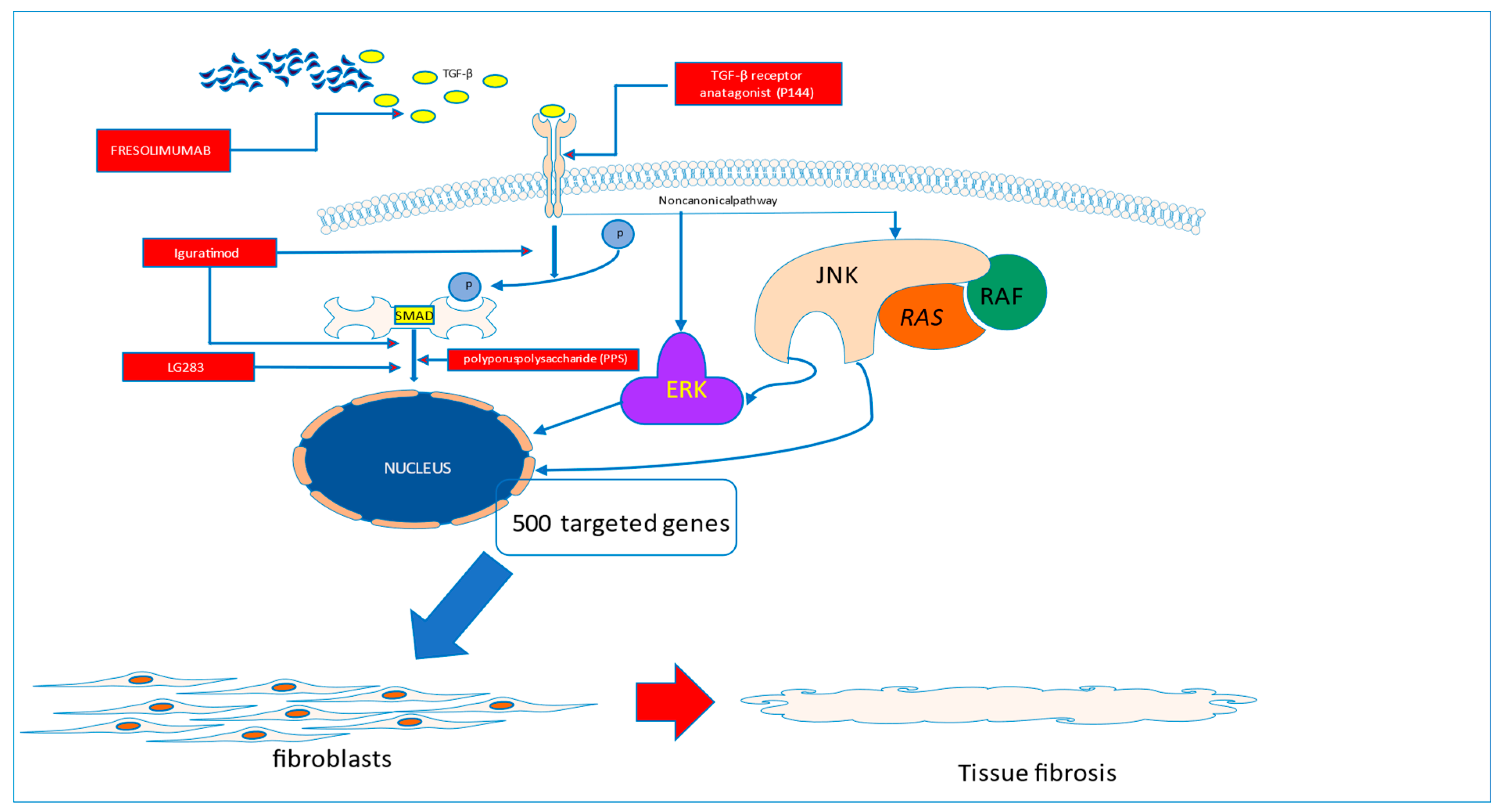 Pharmaceuticals 16 01066 g001 Pharmaceuticals 16 01066 g001