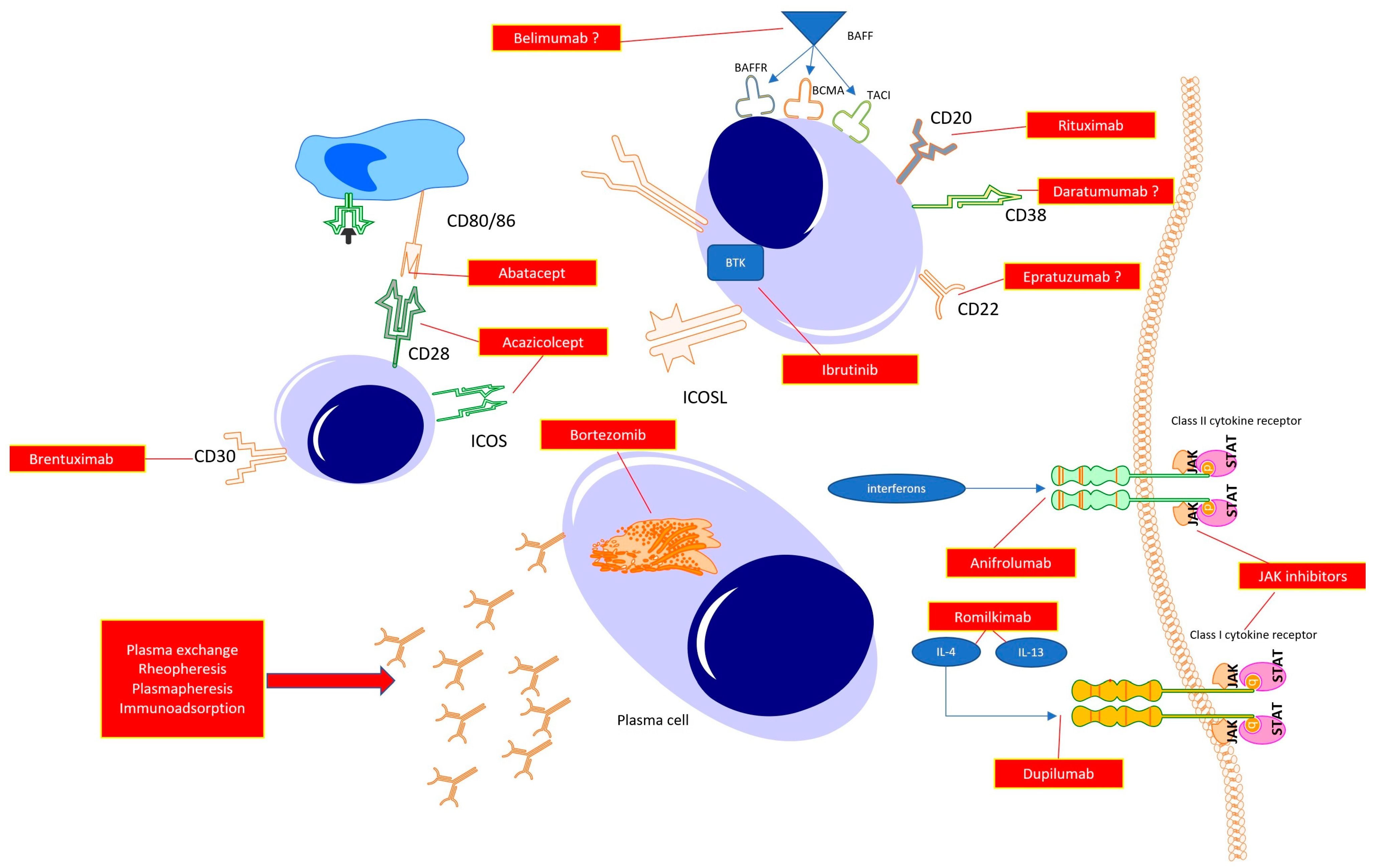 Pharmaceuticals 16 01066 g002 Pharmaceuticals 16 01066 g002