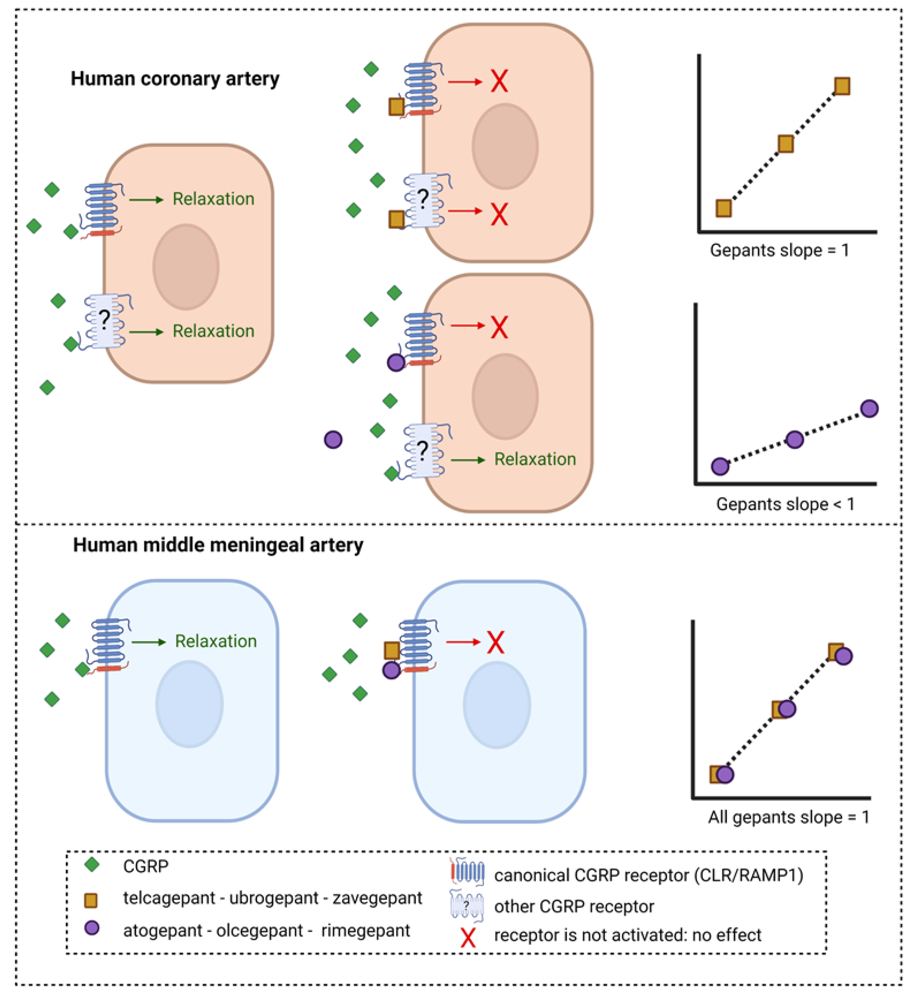 Pharmaceuticals 16 01075 g003 Pharmaceuticals 16 01075 g003