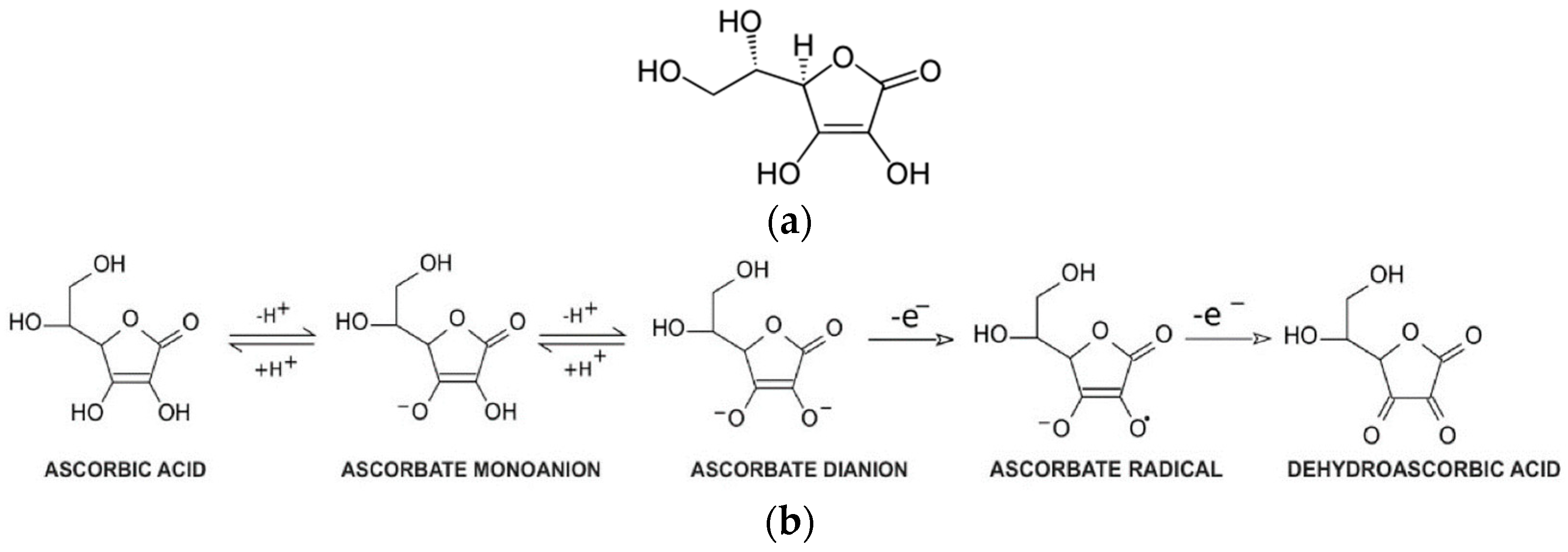 Pharmaceuticals 16 01077 g003
