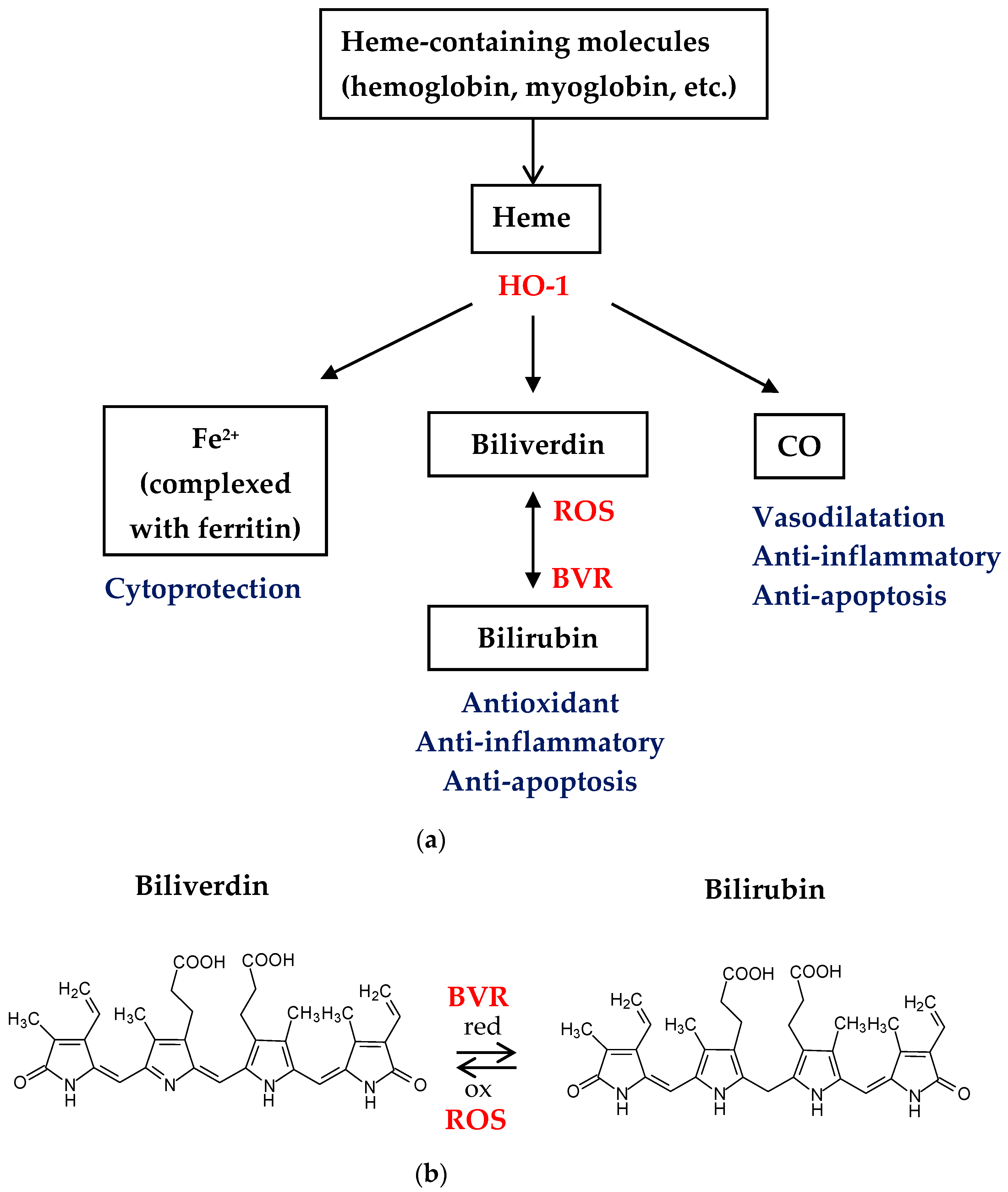 Pharmaceuticals 16 01077 g006