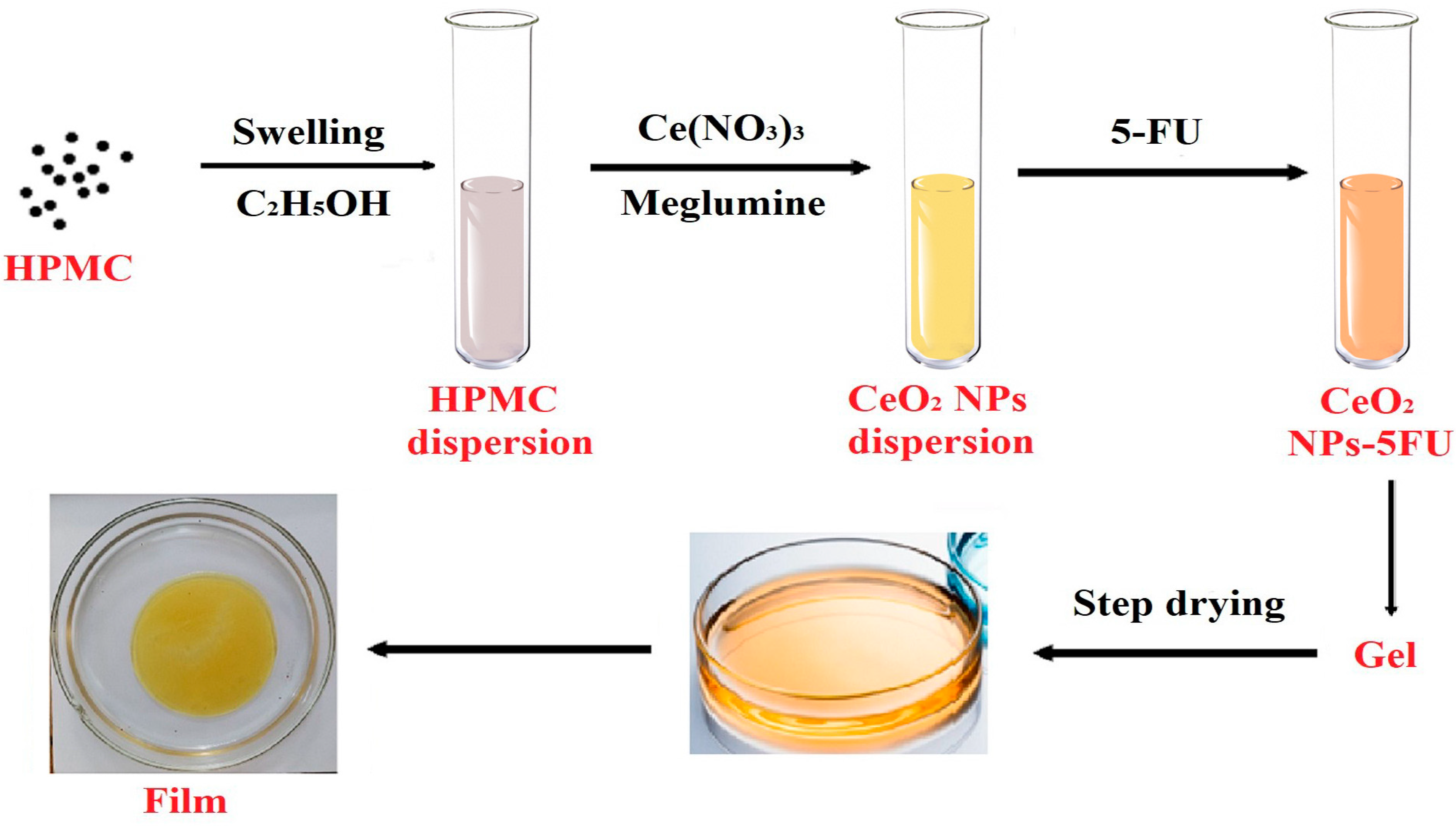 Pharmaceuticals 16 01082 g001