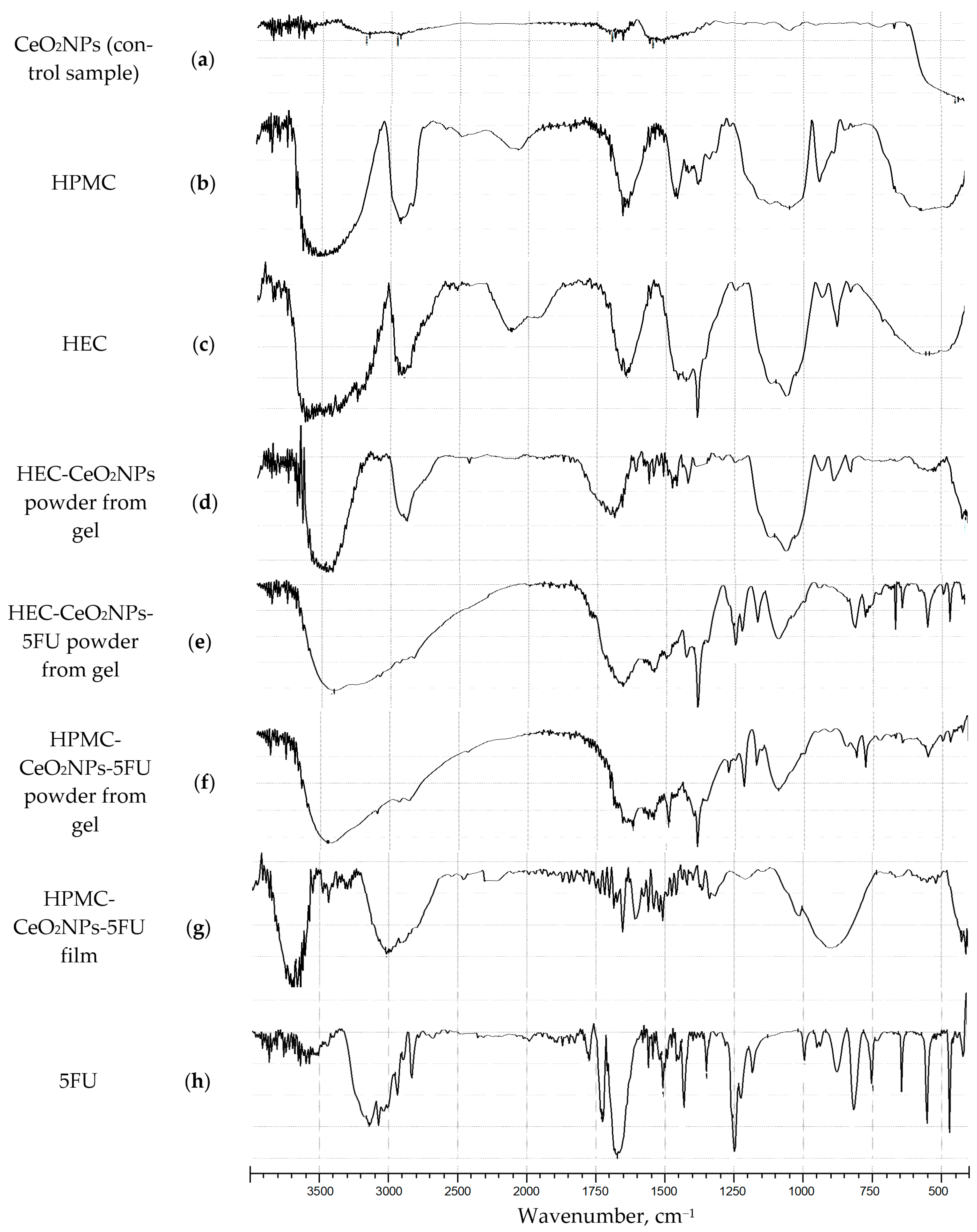 Pharmaceuticals 16 01082 g004
