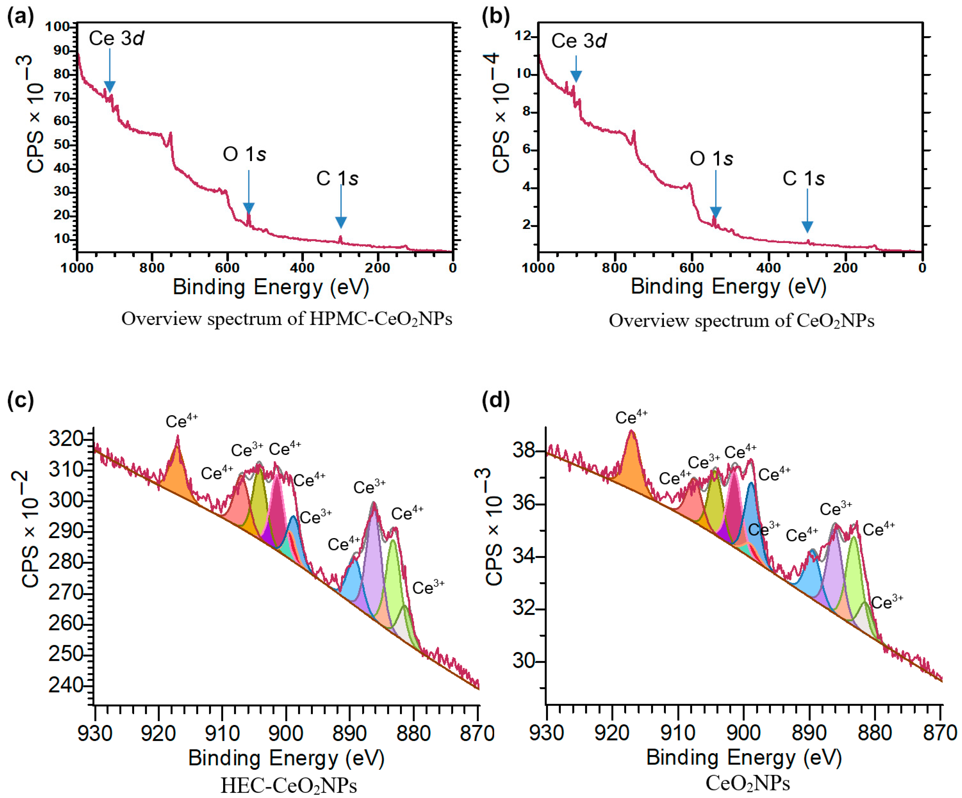 Pharmaceuticals 16 01082 g009