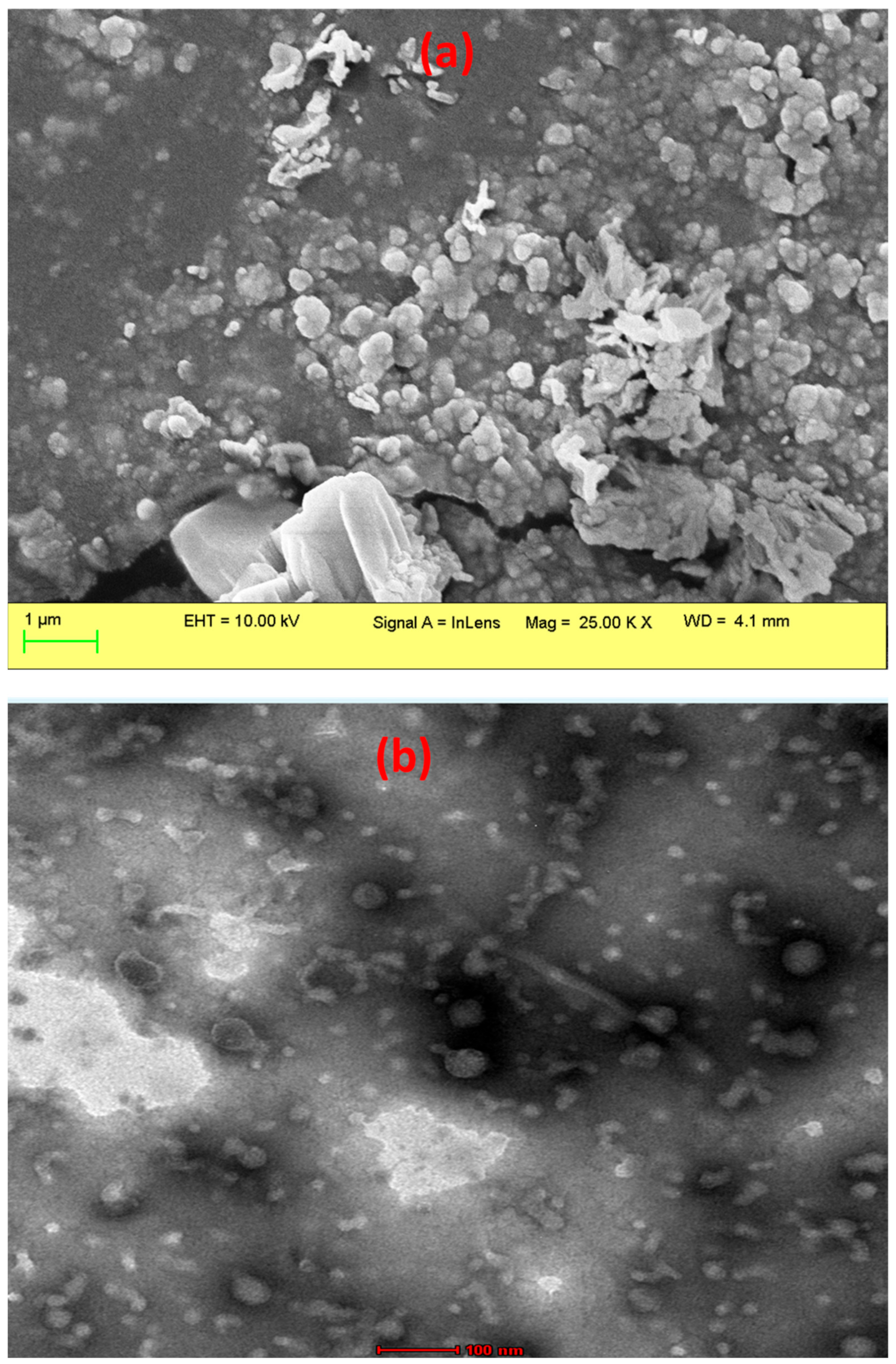 Pharmaceuticals 16 01090 g001 Pharmaceuticals 16 01090 g001