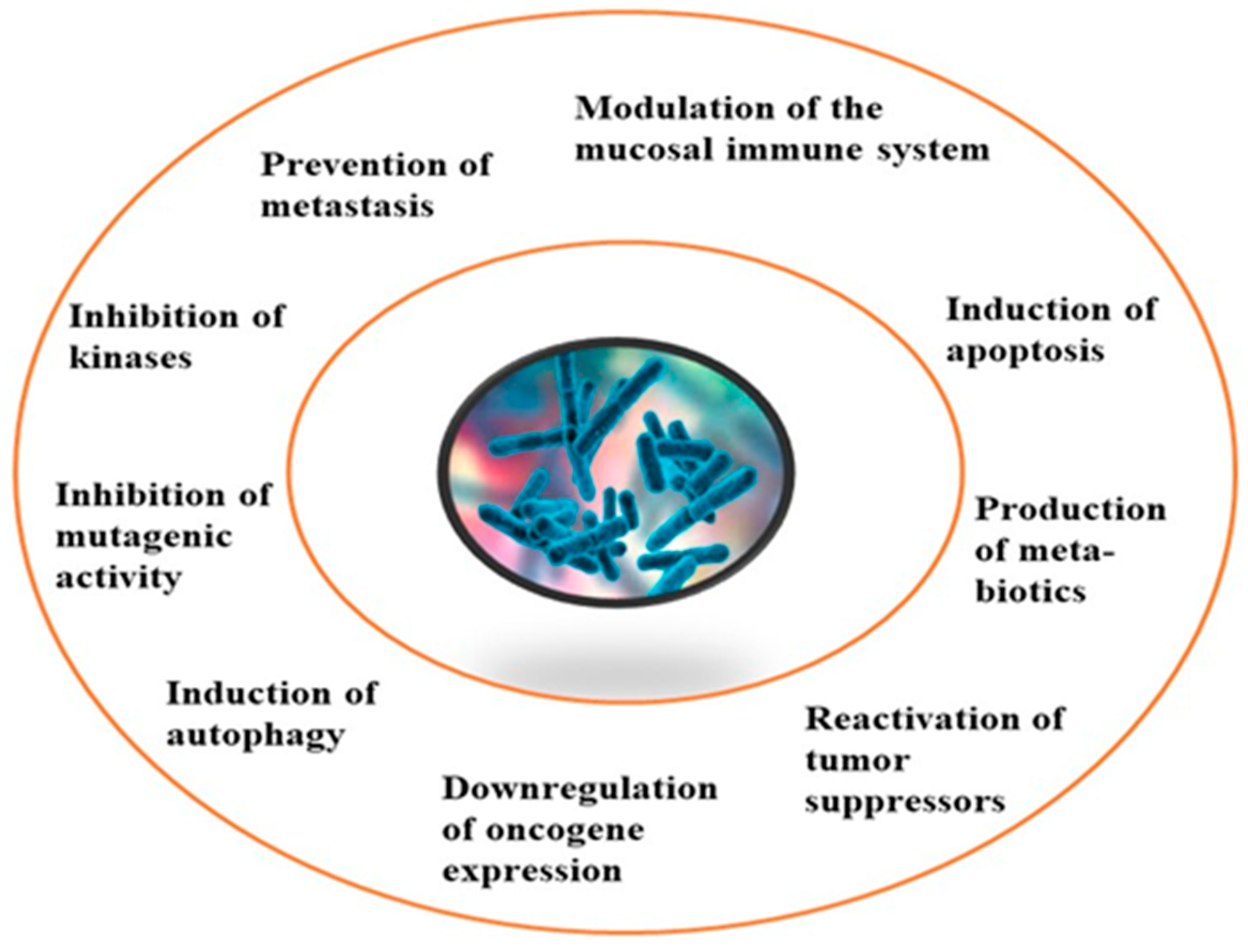 Pharmaceuticals 16 01091 g001 Pharmaceuticals 16 01091 g001