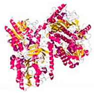 Pharmaceuticals 16 01091 i003 Pharmaceuticals 16 01091 i003