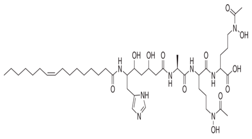 Pharmaceuticals 16 01091 i006 Pharmaceuticals 16 01091 i006