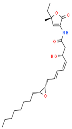 Pharmaceuticals 16 01091 i023 Pharmaceuticals 16 01091 i023