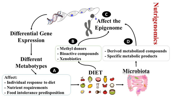 Pharmaceuticals 16 01093 g001