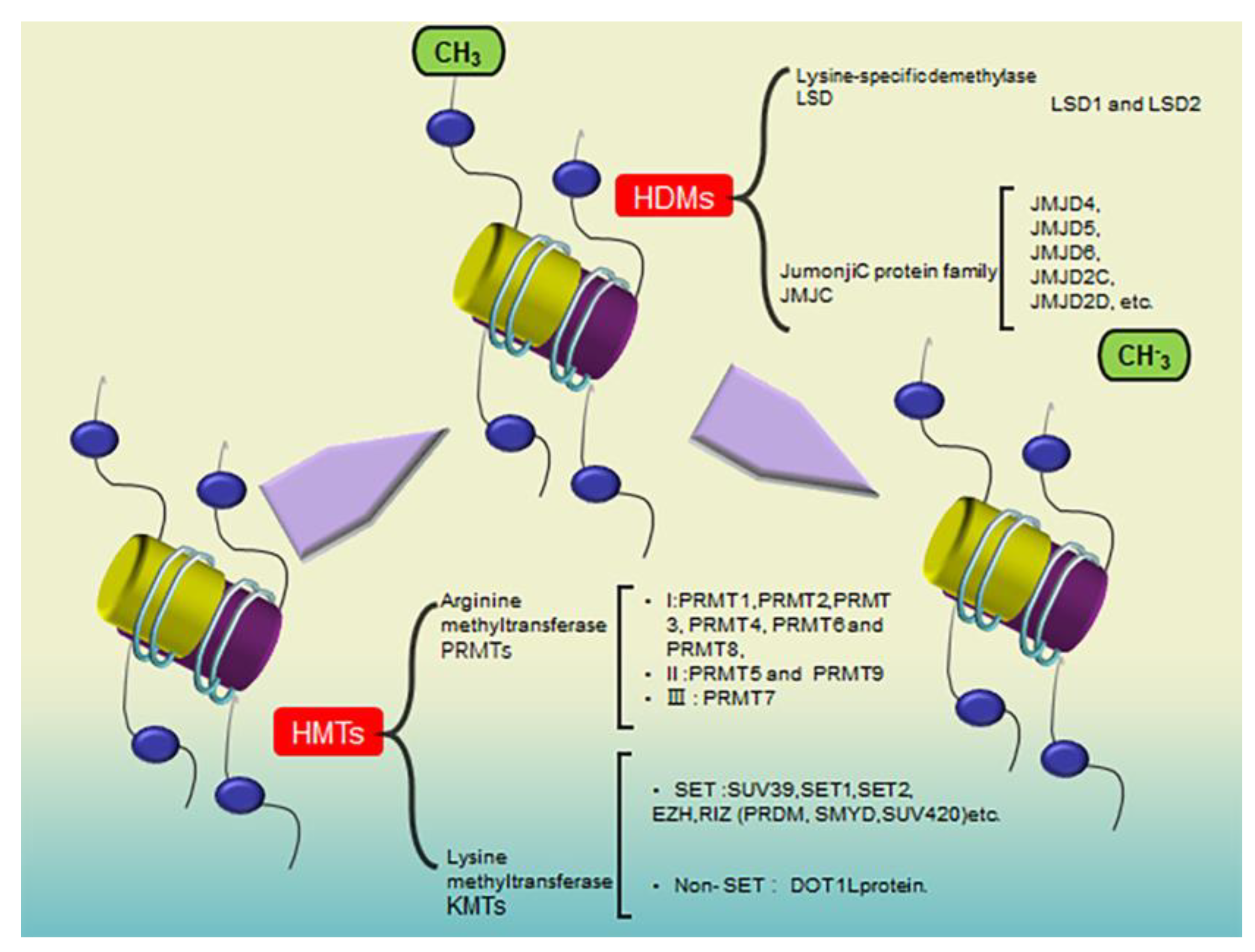 Pharmaceuticals 16 01095 g001