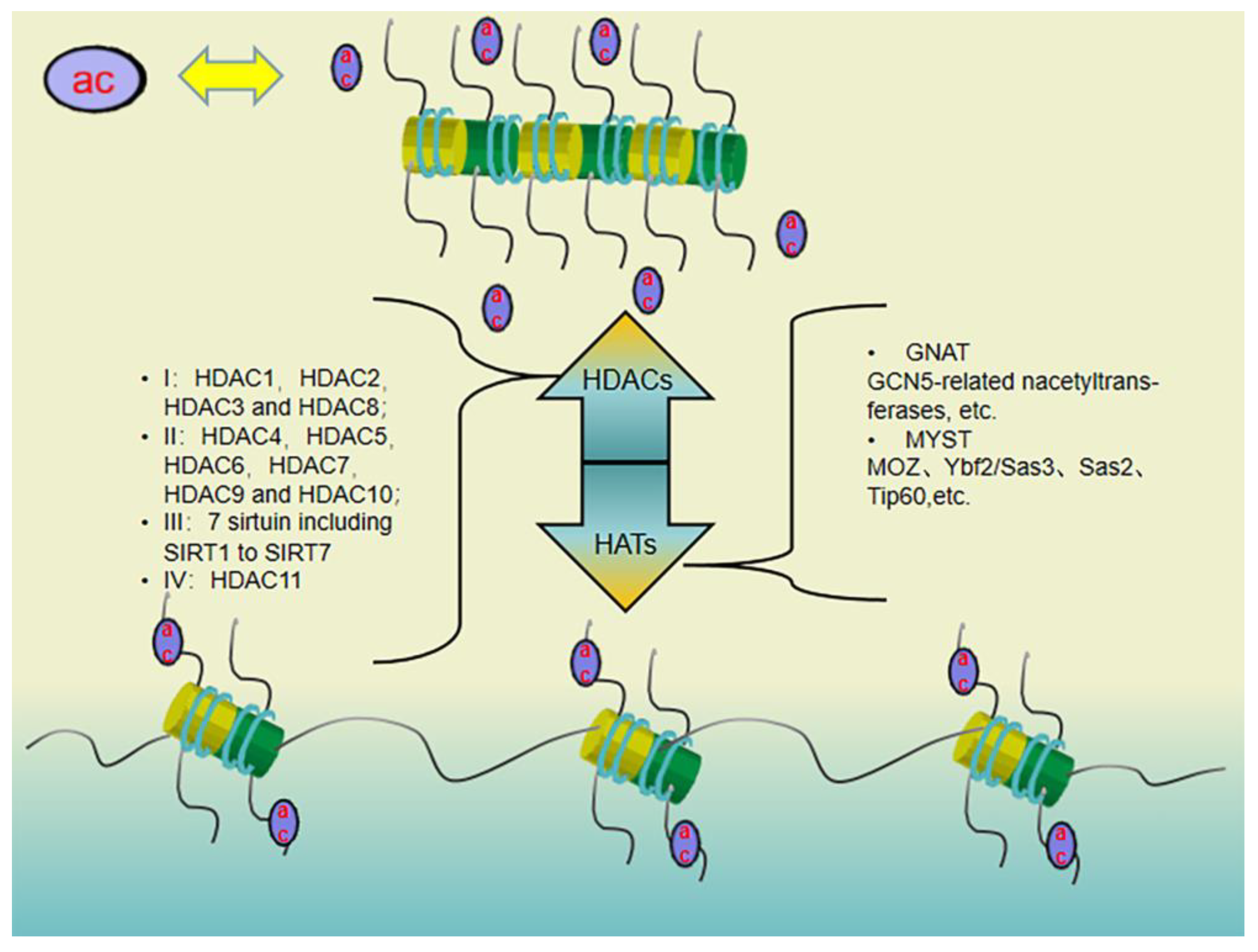 Pharmaceuticals 16 01095 g002