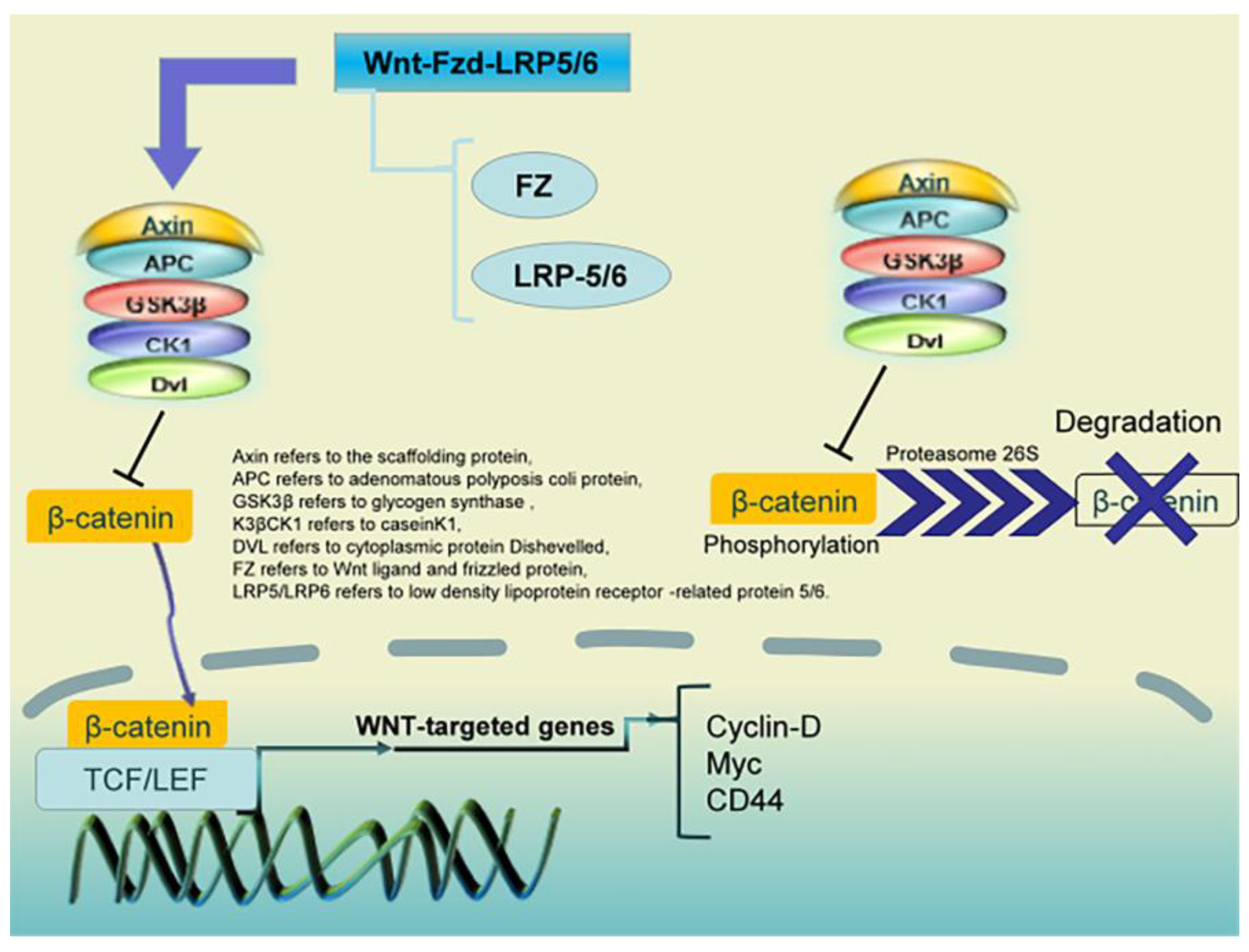 Pharmaceuticals 16 01095 g004