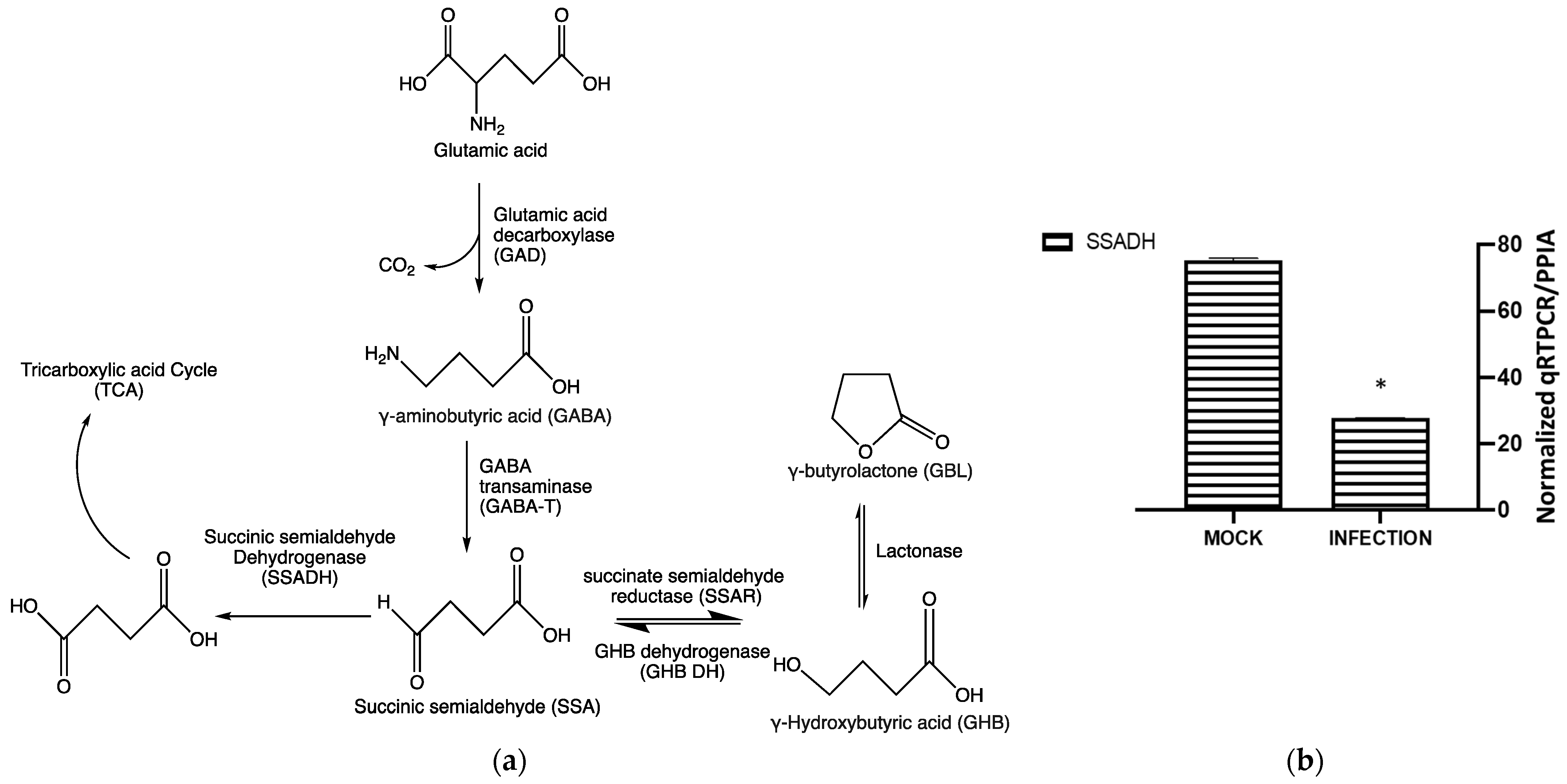 Pharmaceuticals 16 01104 g007