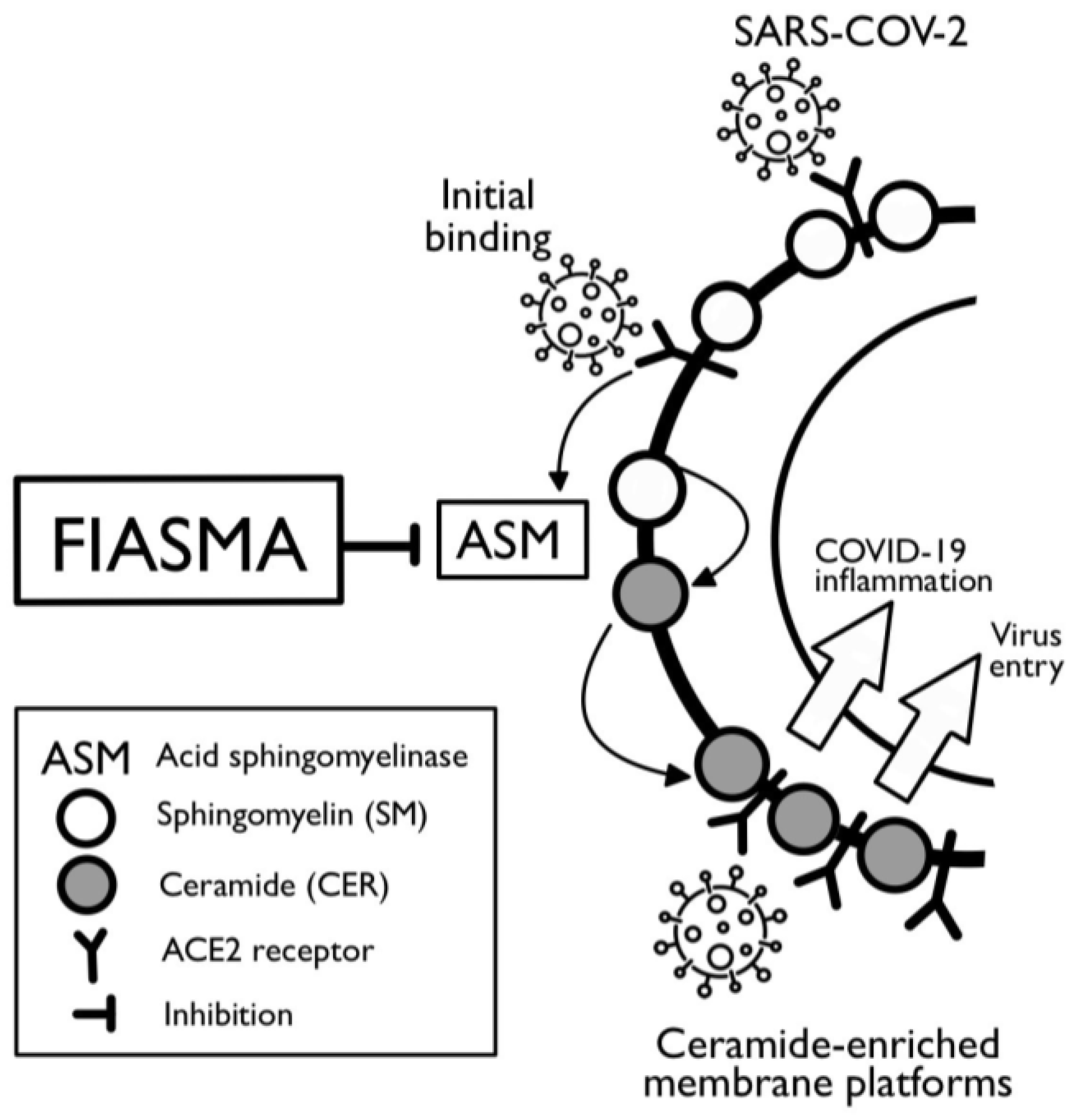 Pharmaceuticals 16 01107 g001