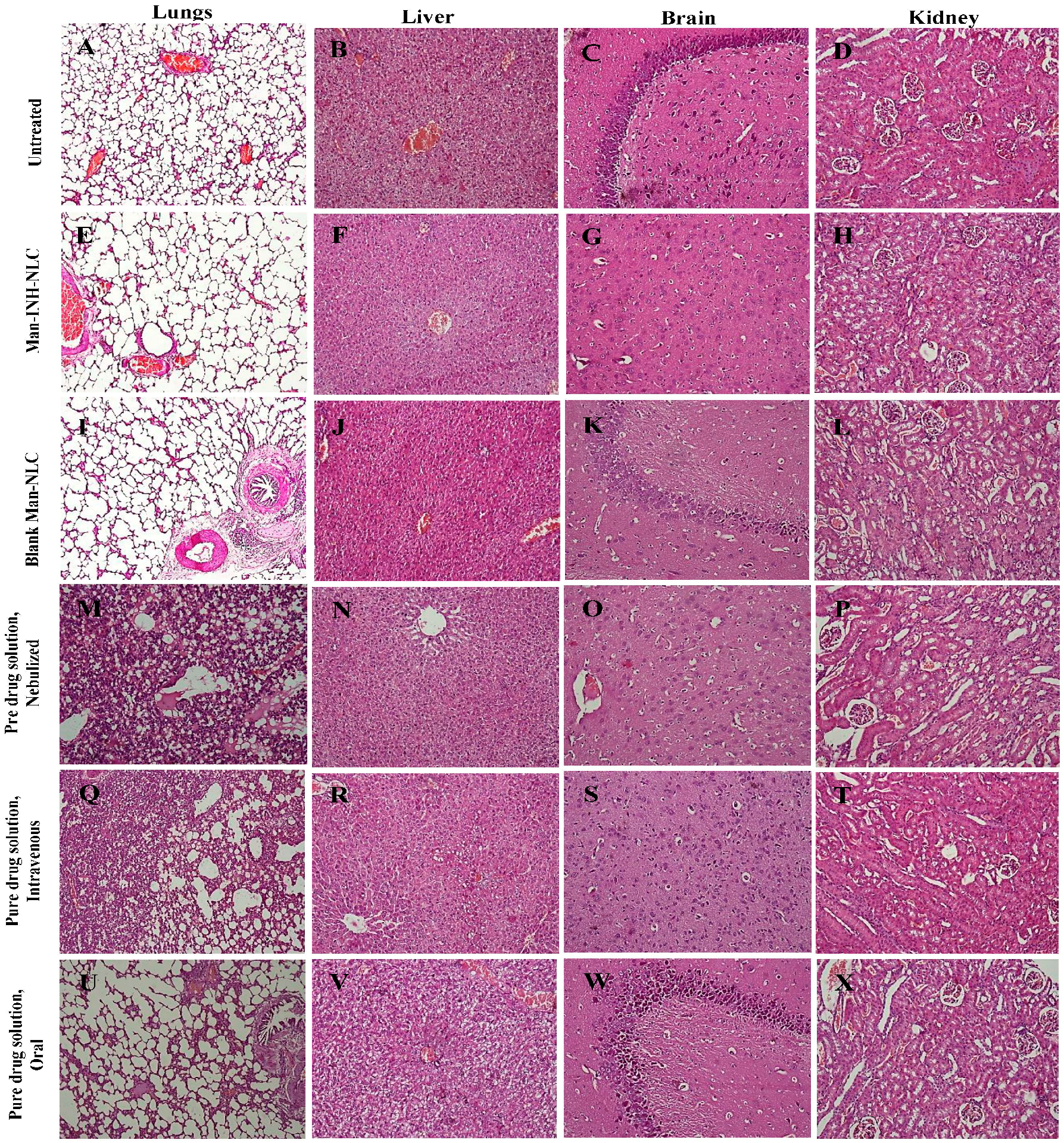 Pharmaceuticals 16 01108 g005 Pharmaceuticals 16 01108 g005