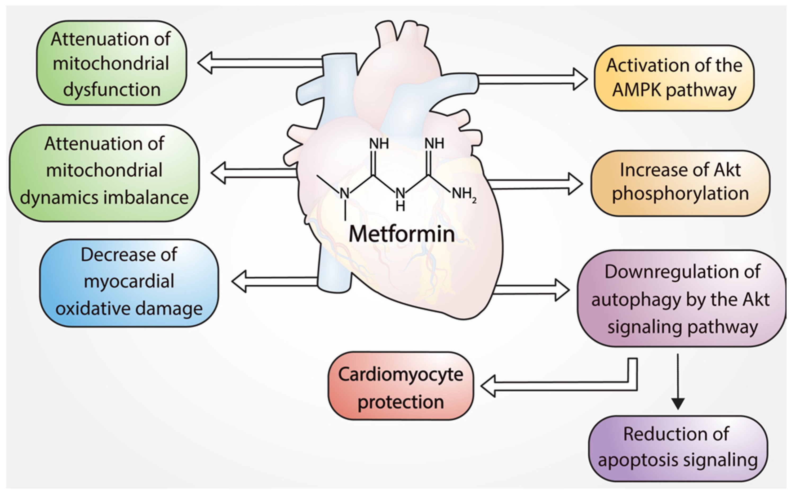 Pharmaceuticals 16 01121 g001