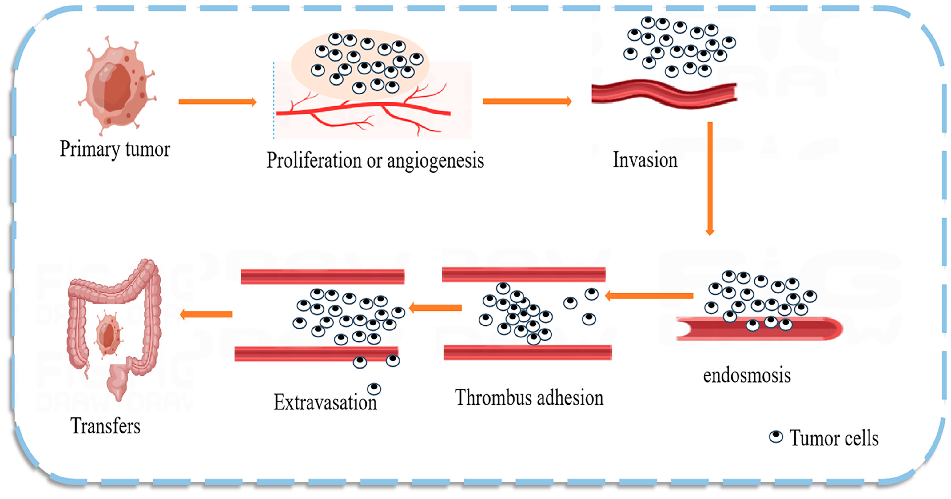 Pharmaceuticals 16 01122 g003